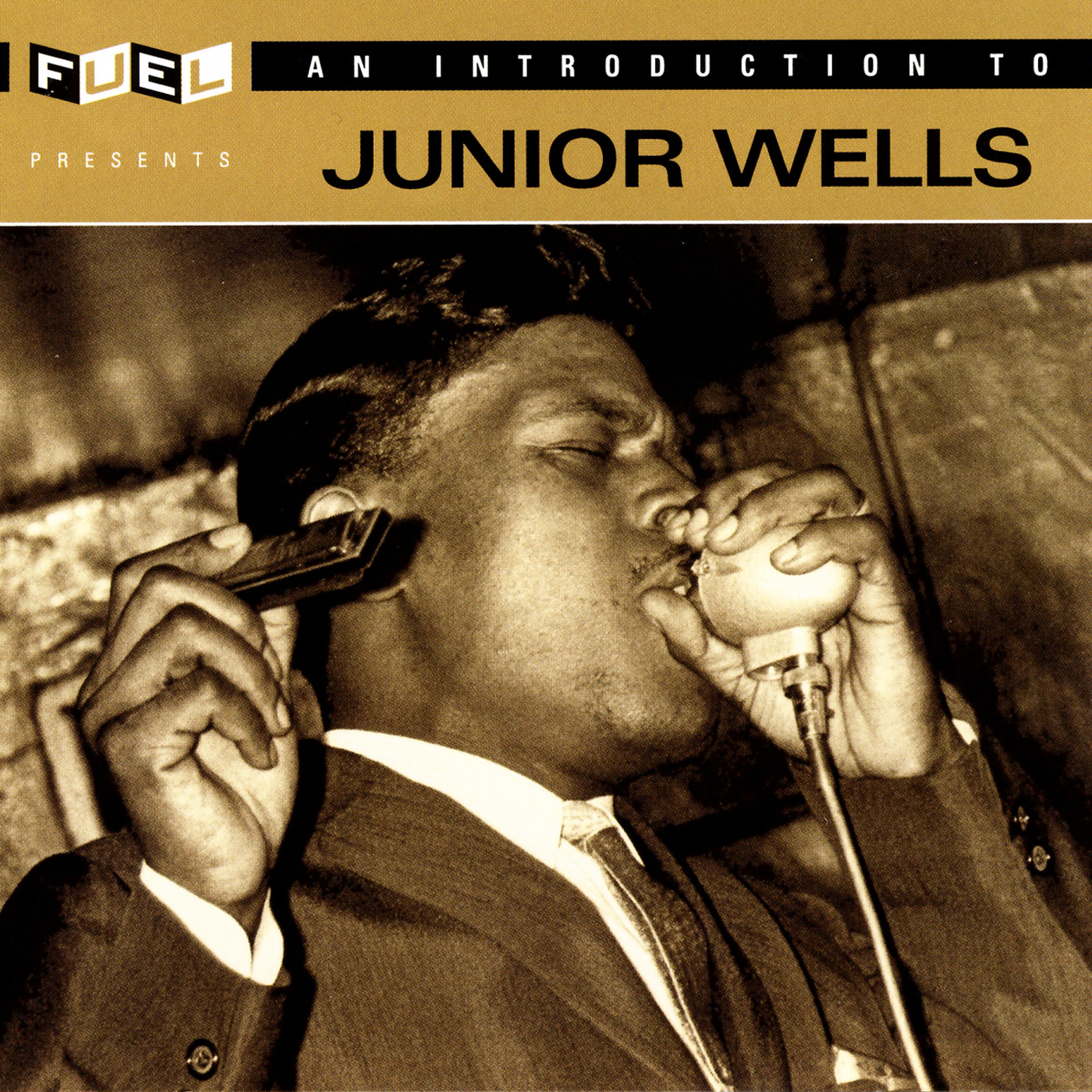 Постер альбома An Introduction To Junior Wells