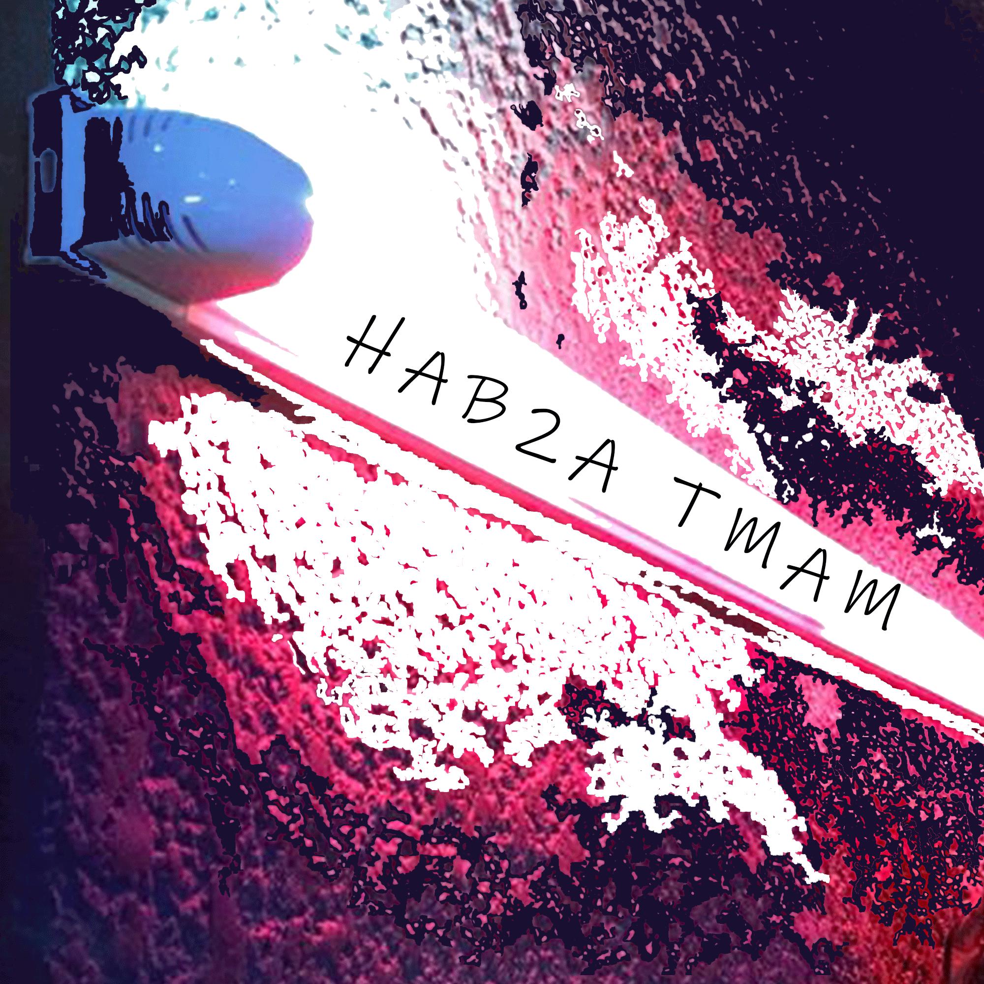 Постер альбома Hab2a Tamam