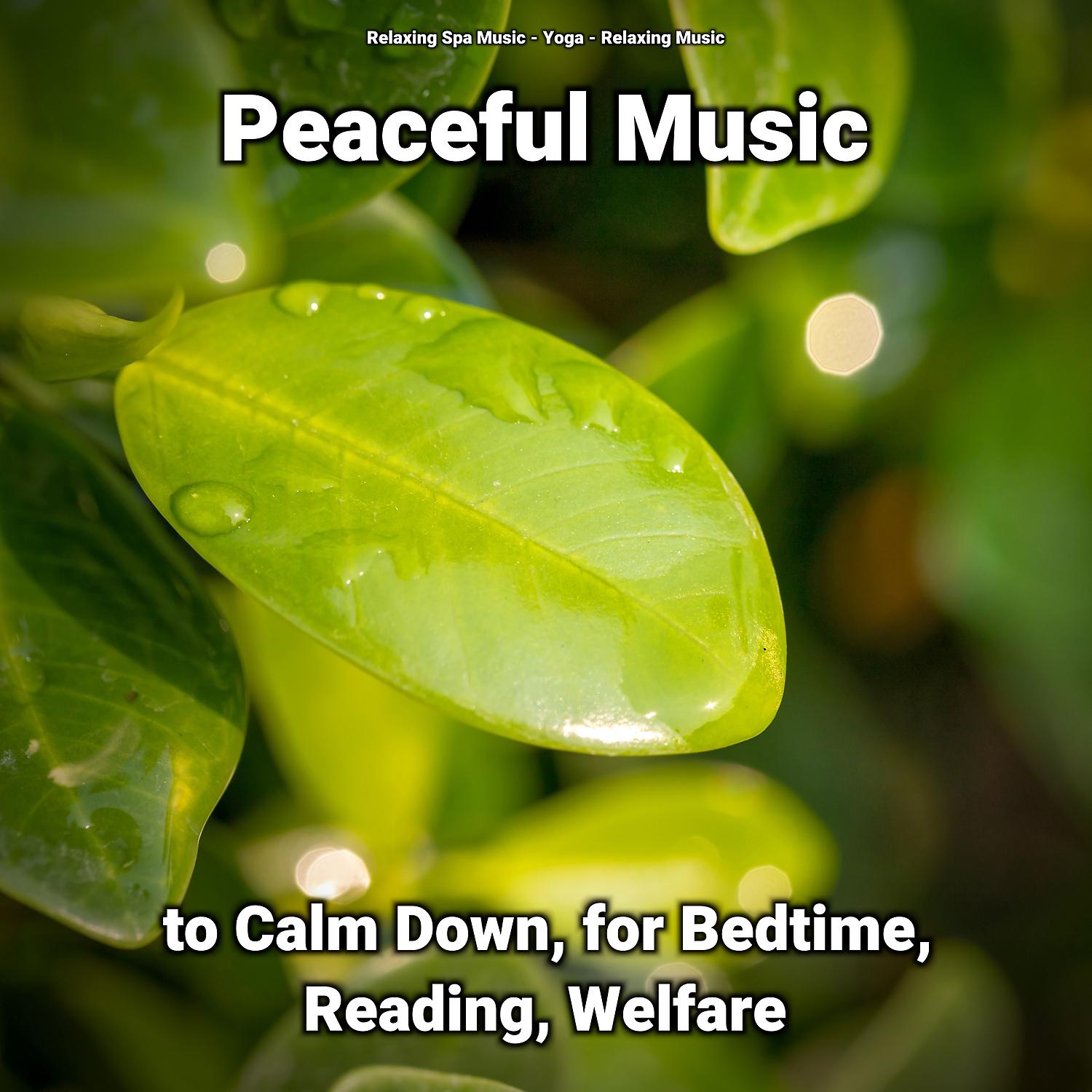 Постер альбома Peaceful Music to Calm Down, for Bedtime, Reading, Welfare
