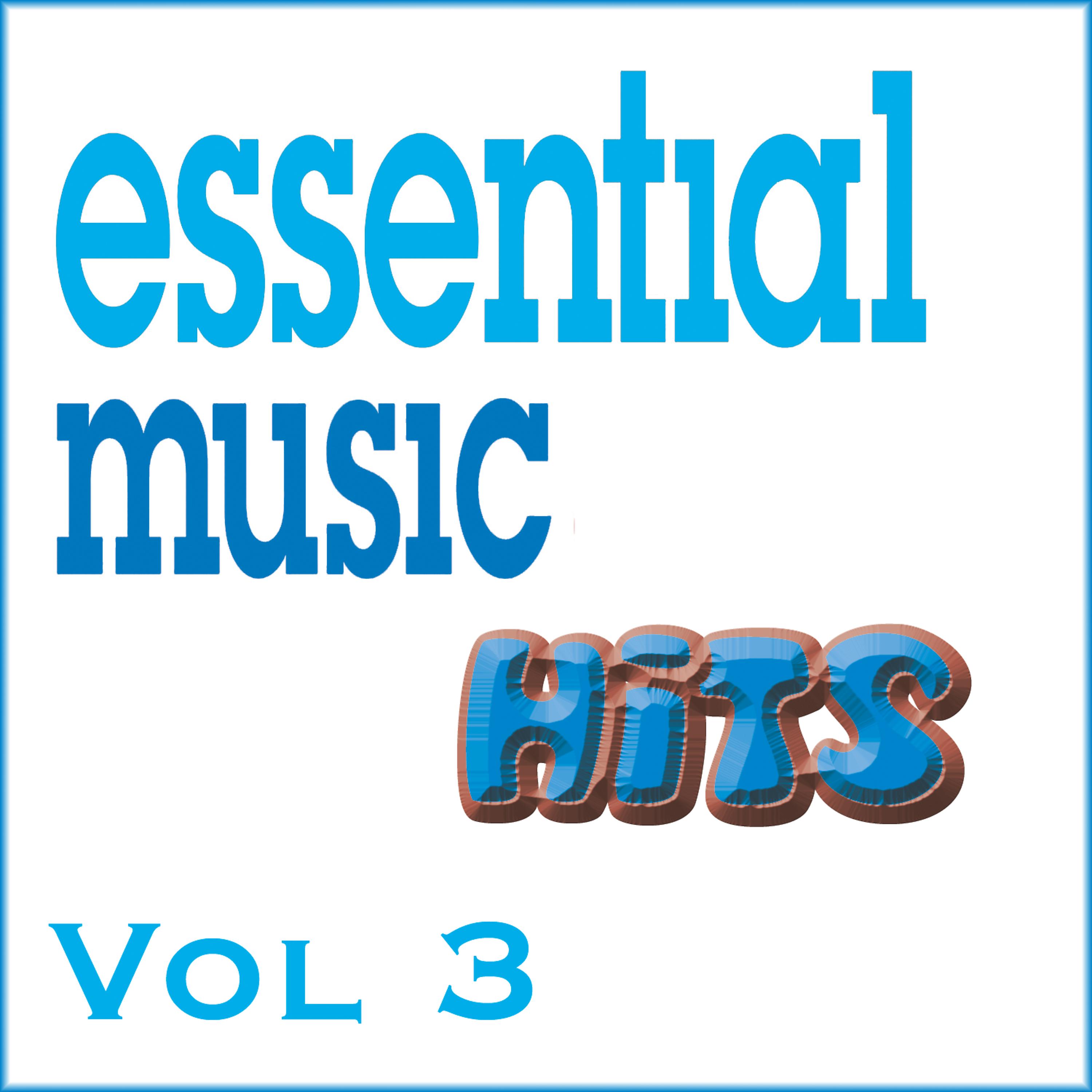 Постер альбома Essential Music Hits Vol 3