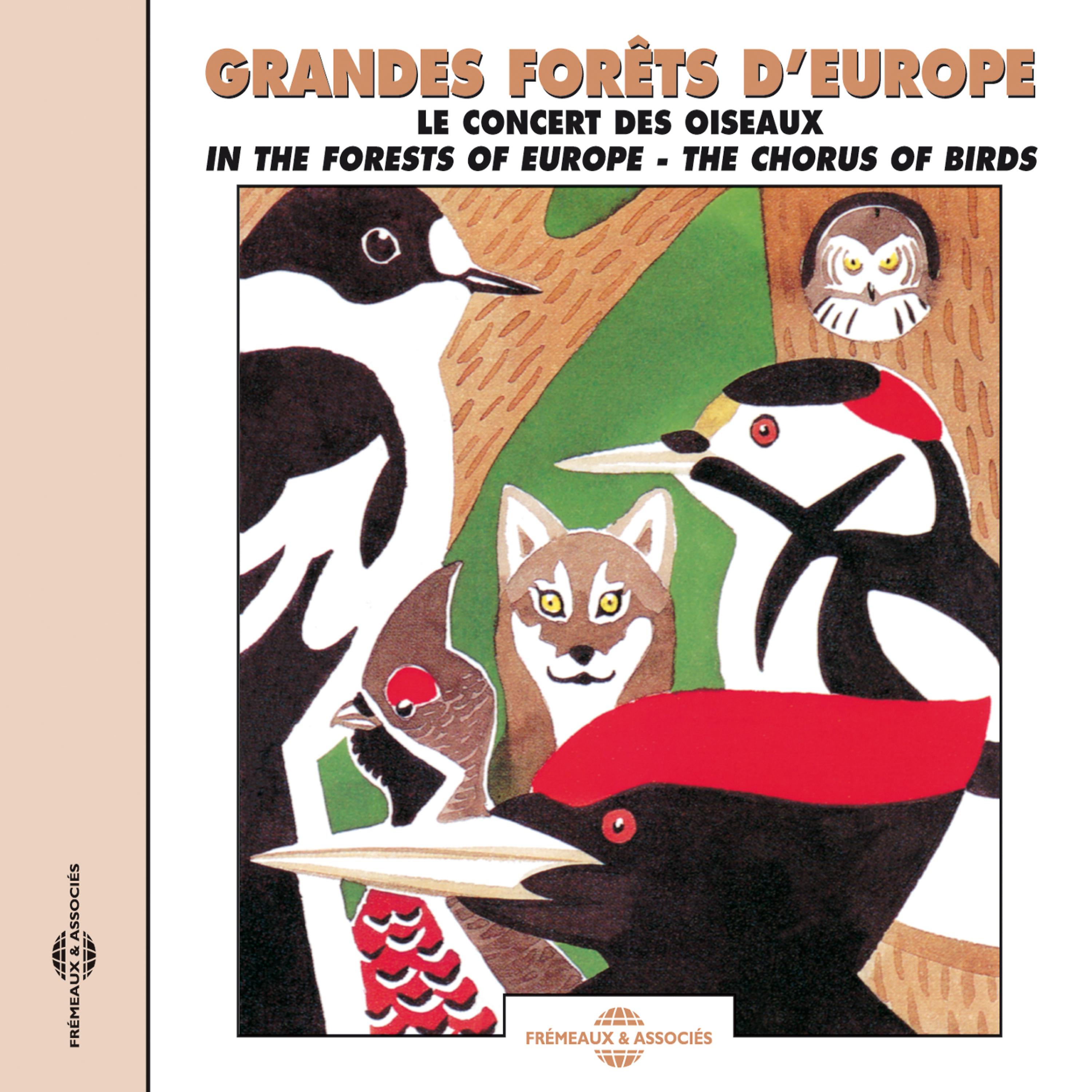 Постер альбома Grandes Forêts D'Europe