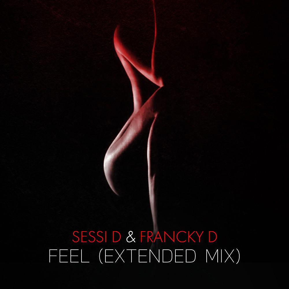 Постер альбома Feel (Extended Mix)