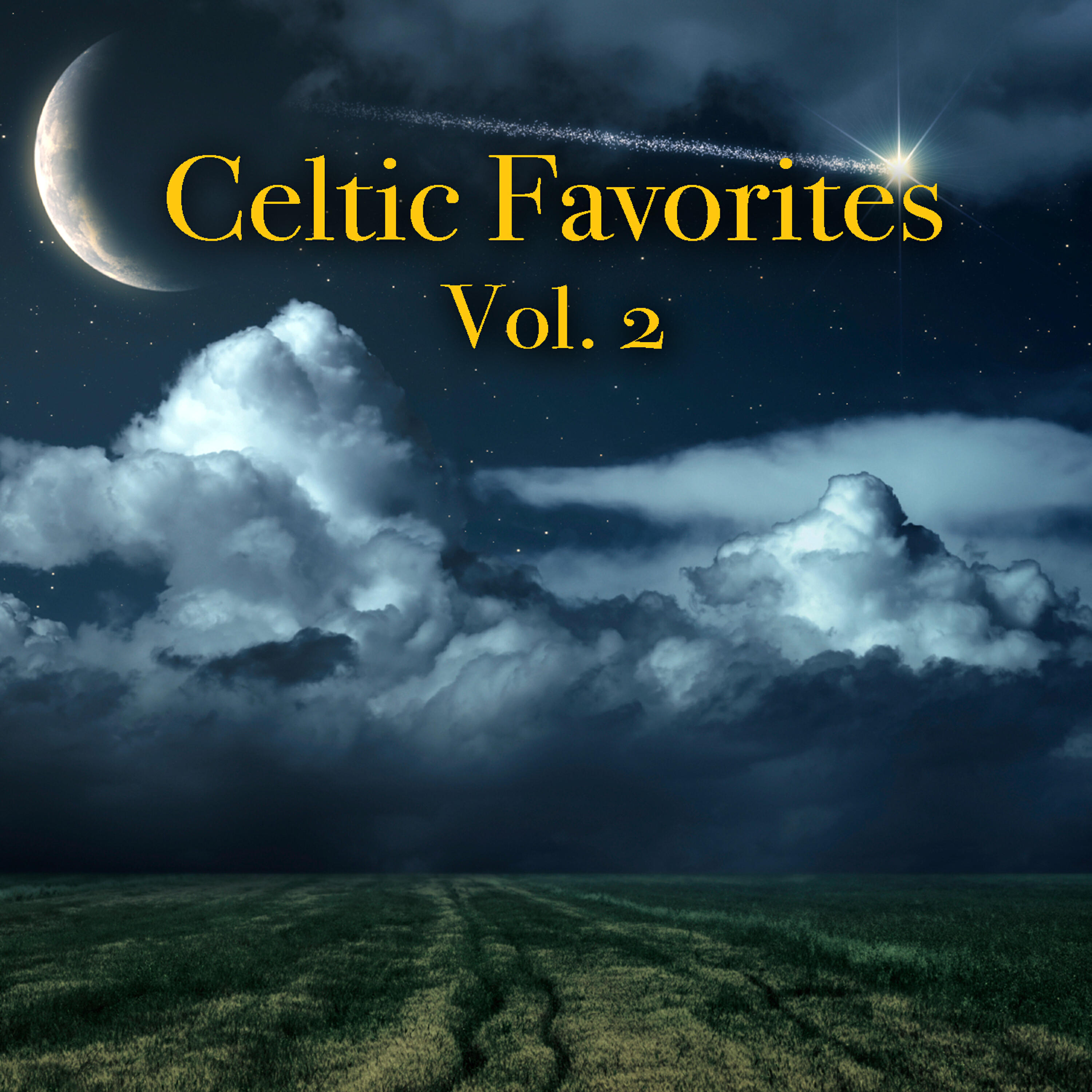 Dublin Folk Band - Seige Of Ennis