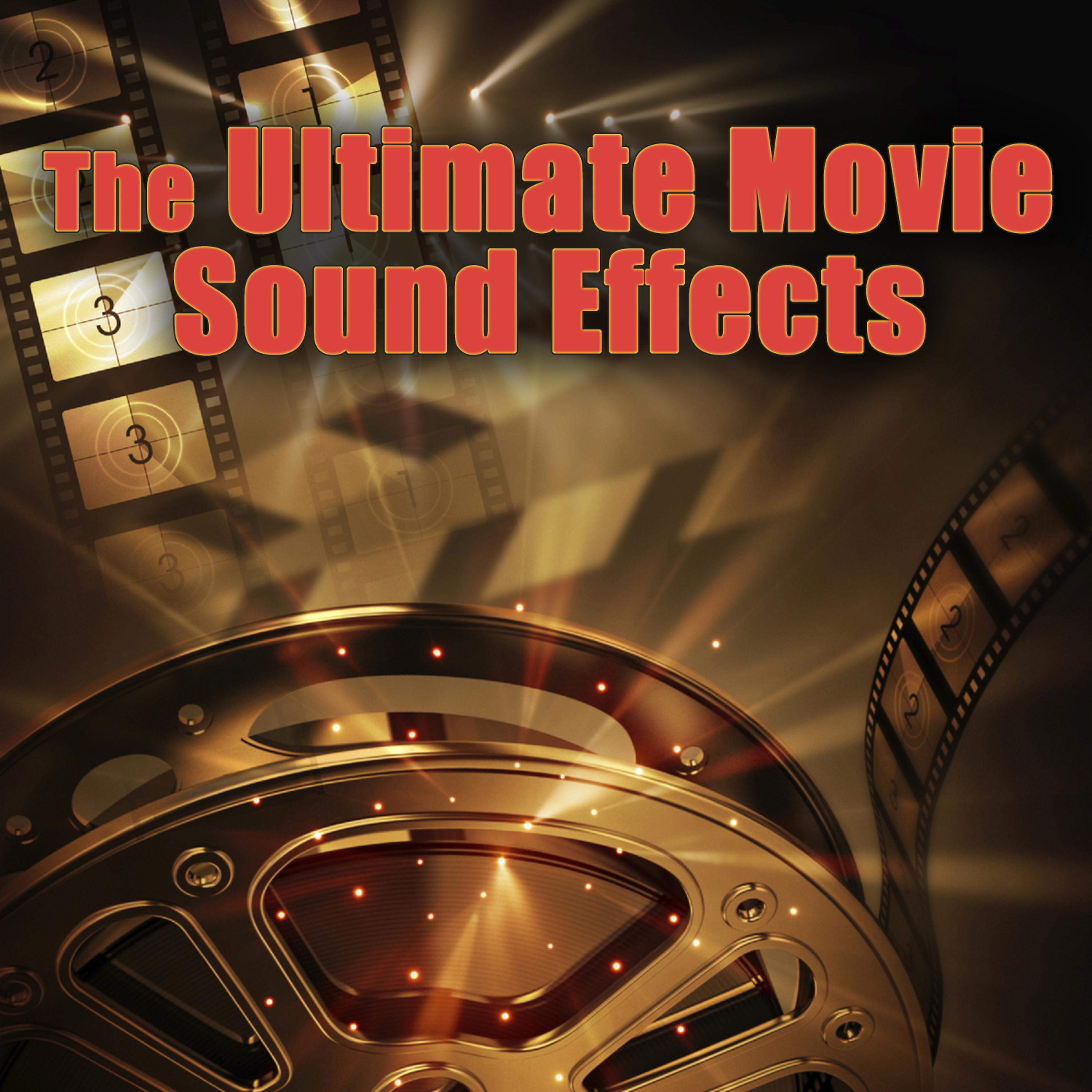 Постер альбома The Ultimate Movie Sound Effects