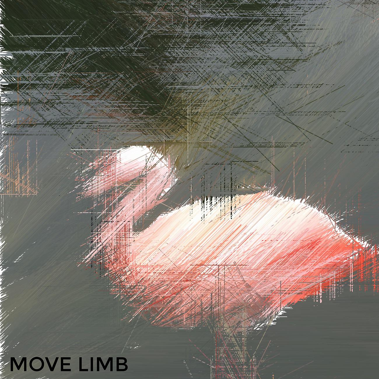 Постер альбома Move Limb