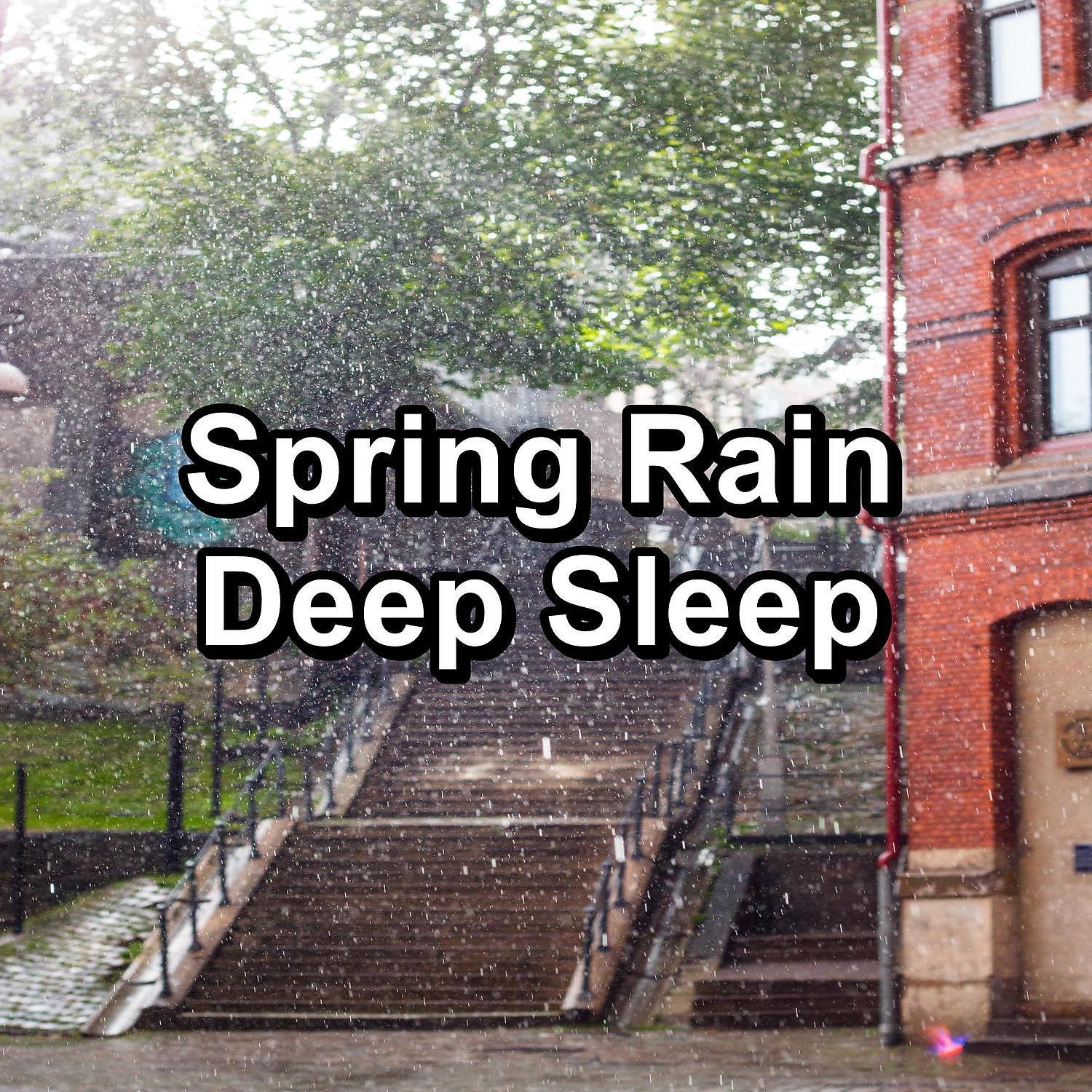 Постер альбома Spring Rain Deep Sleep