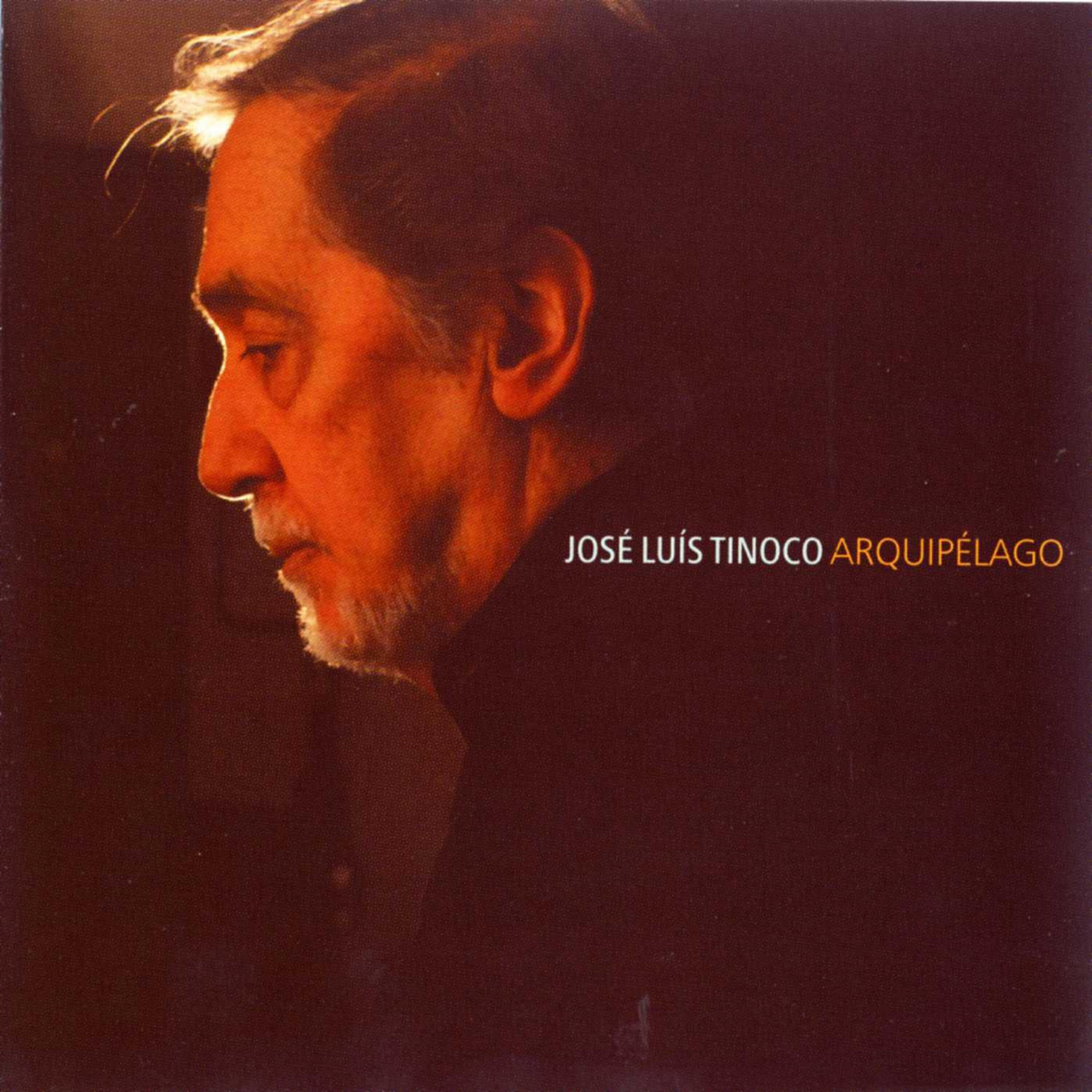 José Luís Tinoco - A Cave