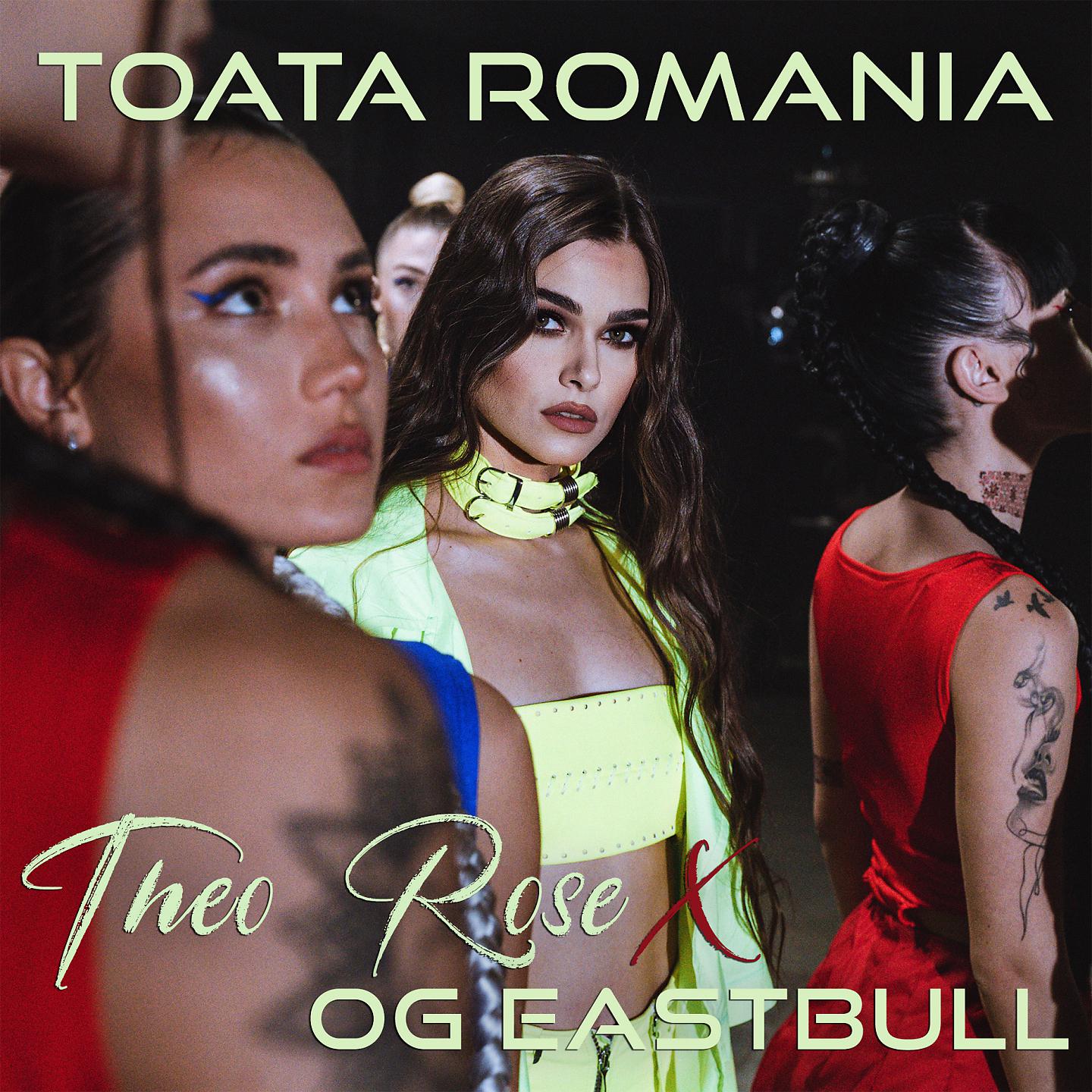 Постер альбома Toata Romania