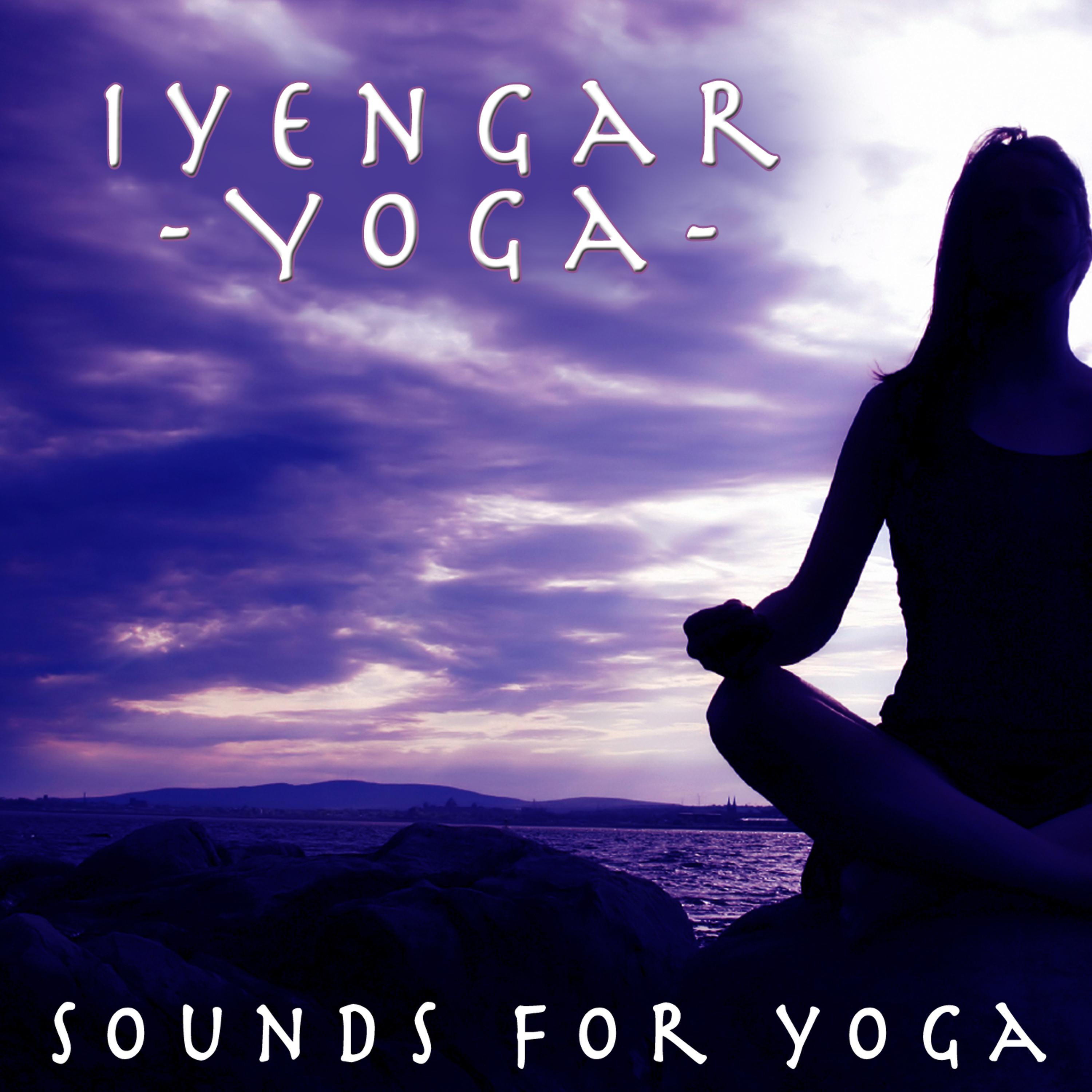 Постер альбома Iyengar Yoga - Sounds For Yoga