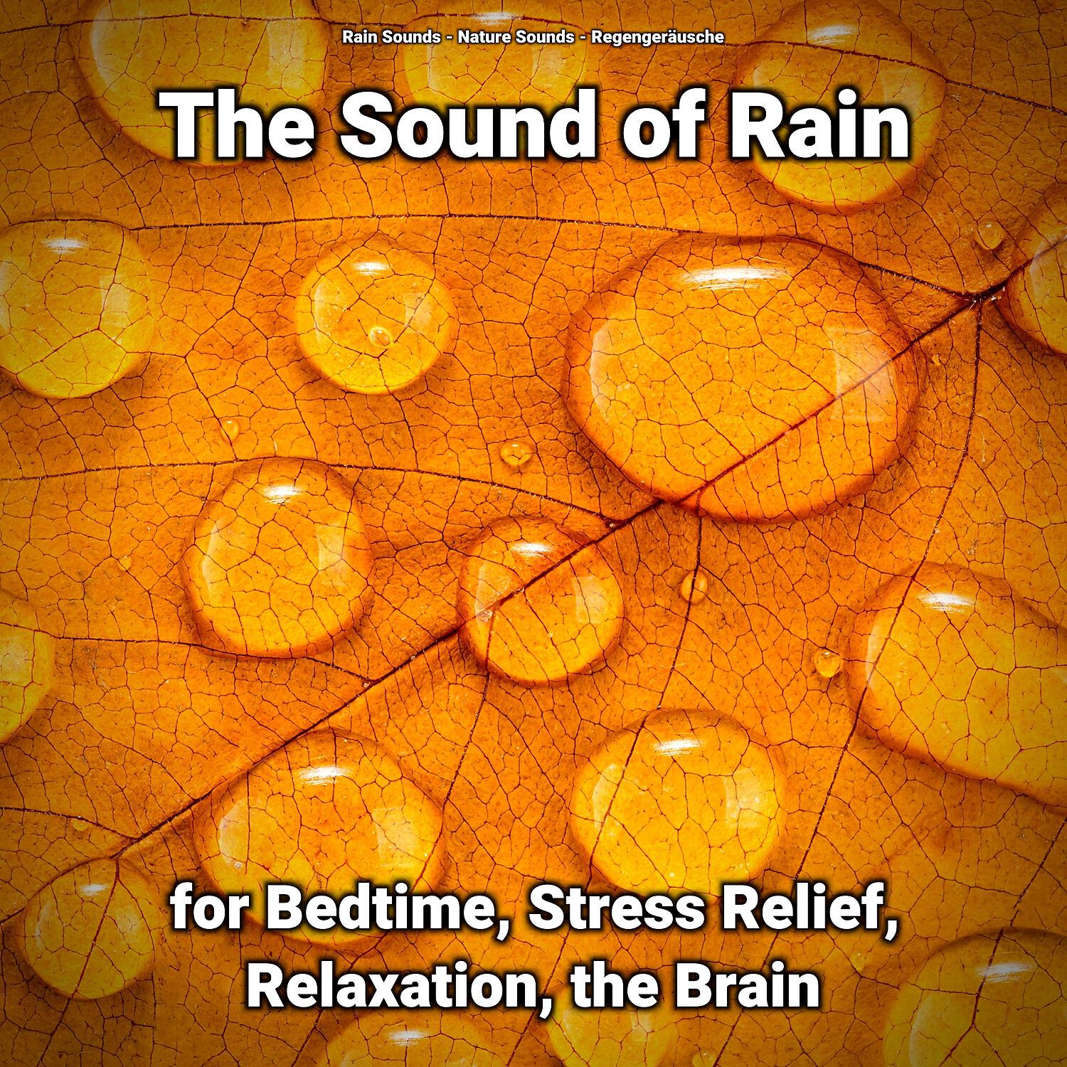 Rain Sounds - The Sound of Rain for Bedtime and Stress Relief Pt. 57