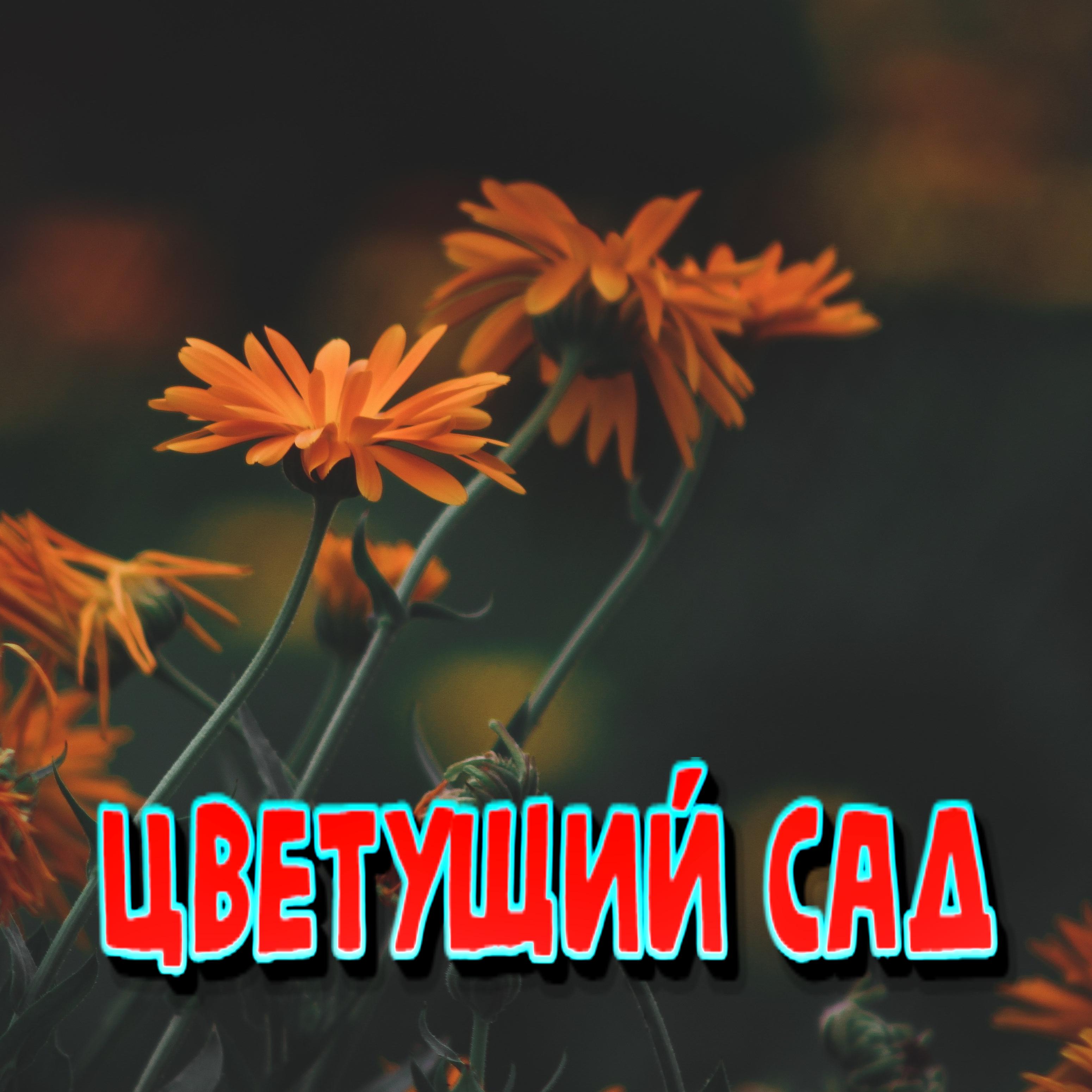 Постер альбома Цветущий сад