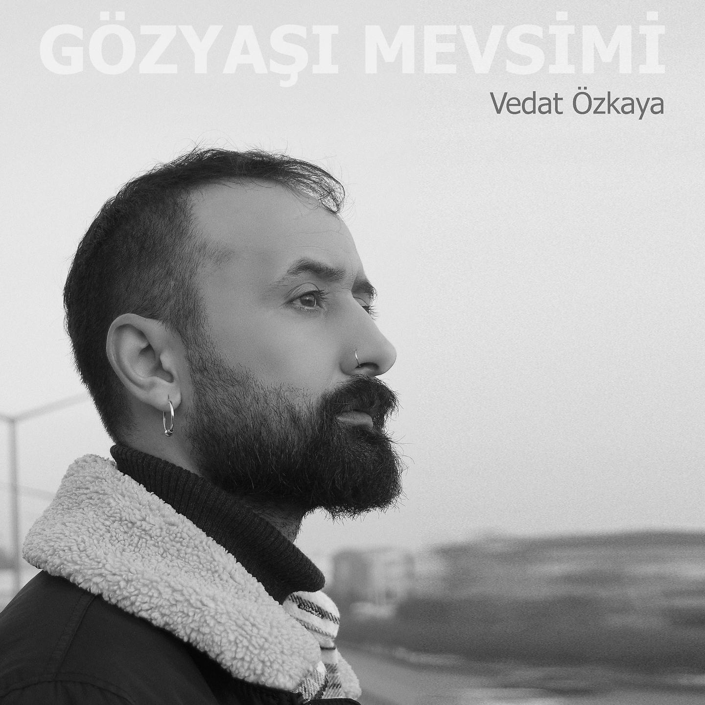 Постер альбома Gözyaşı Mevsimi