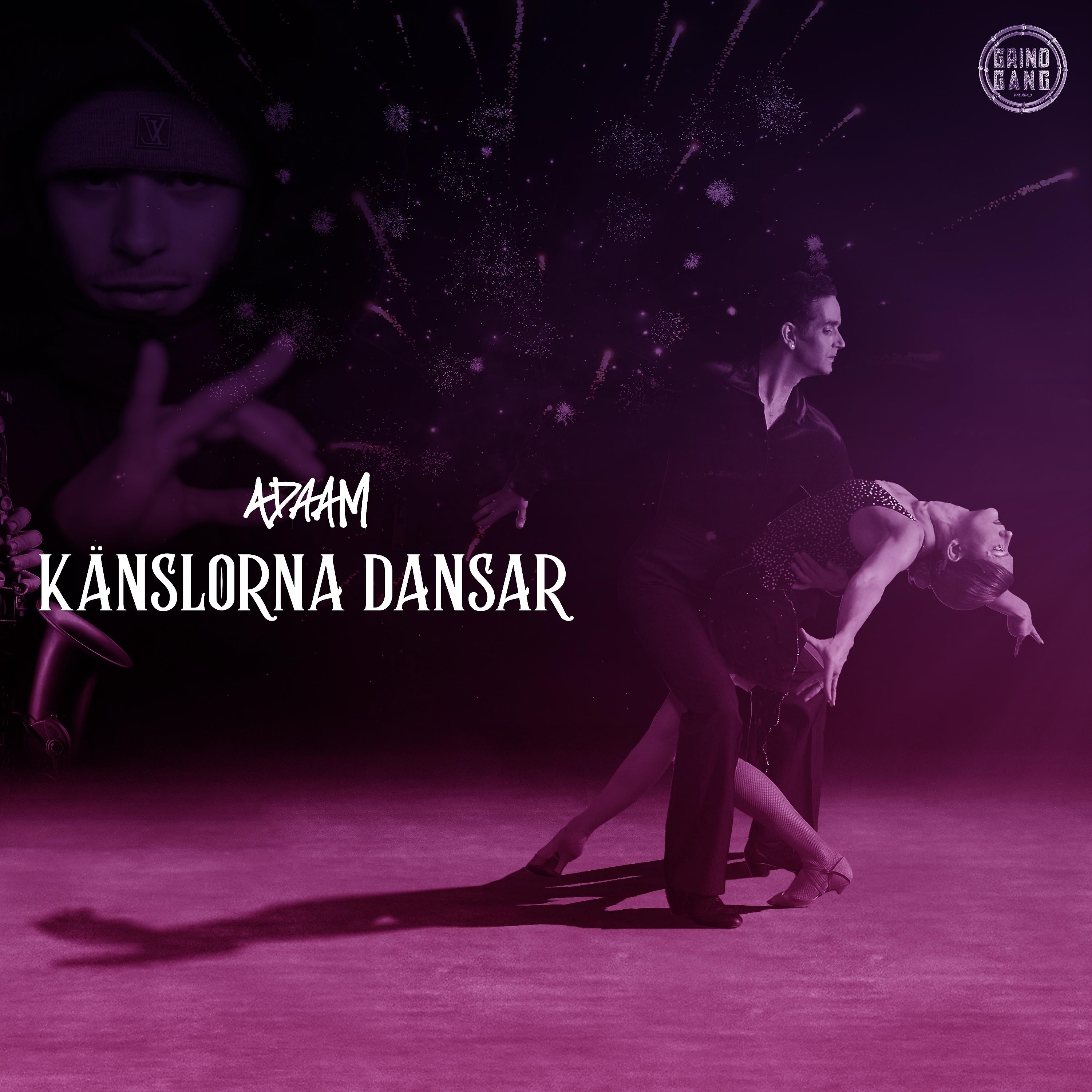 Постер альбома Känslorna Dansar
