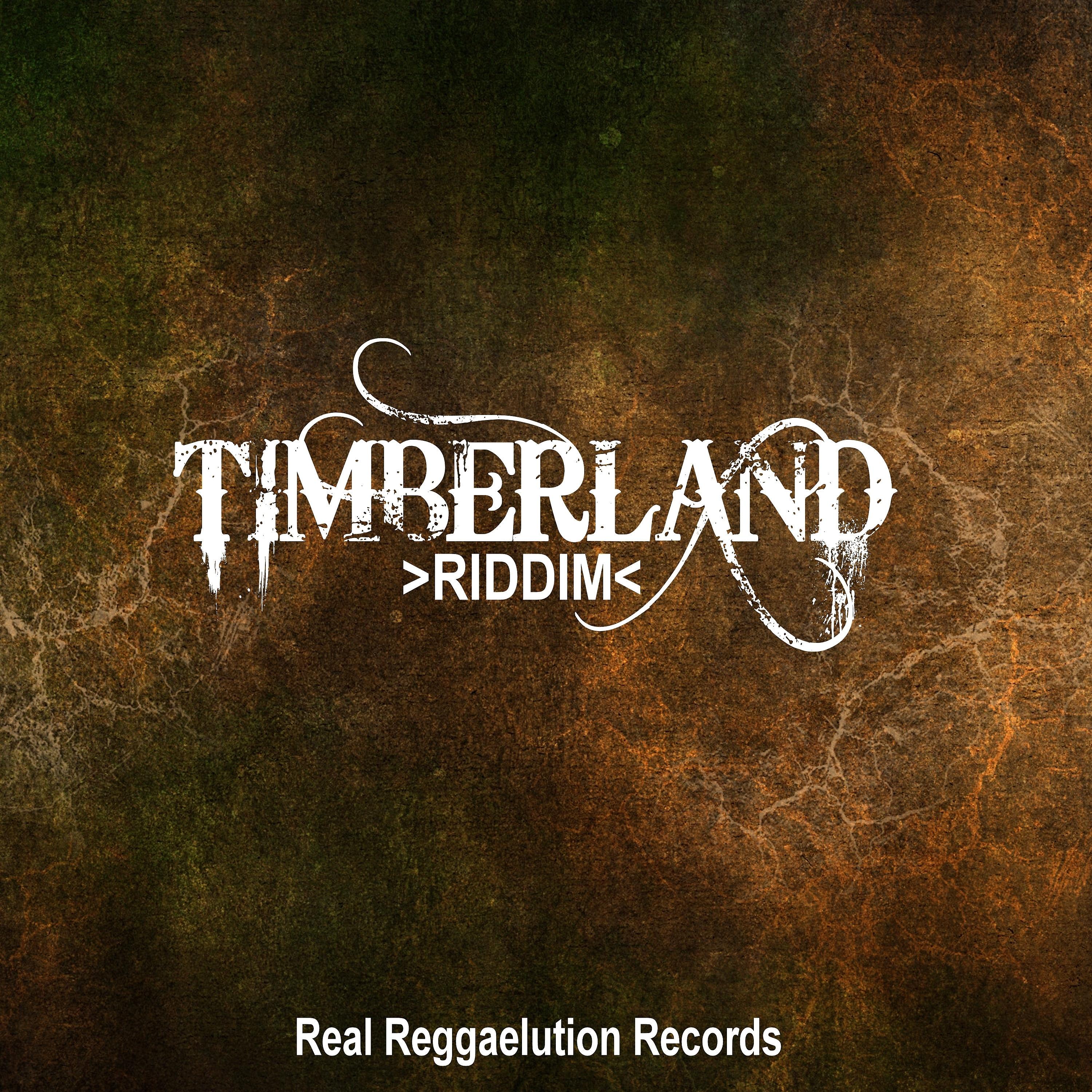 Постер альбома Timberland Riddim