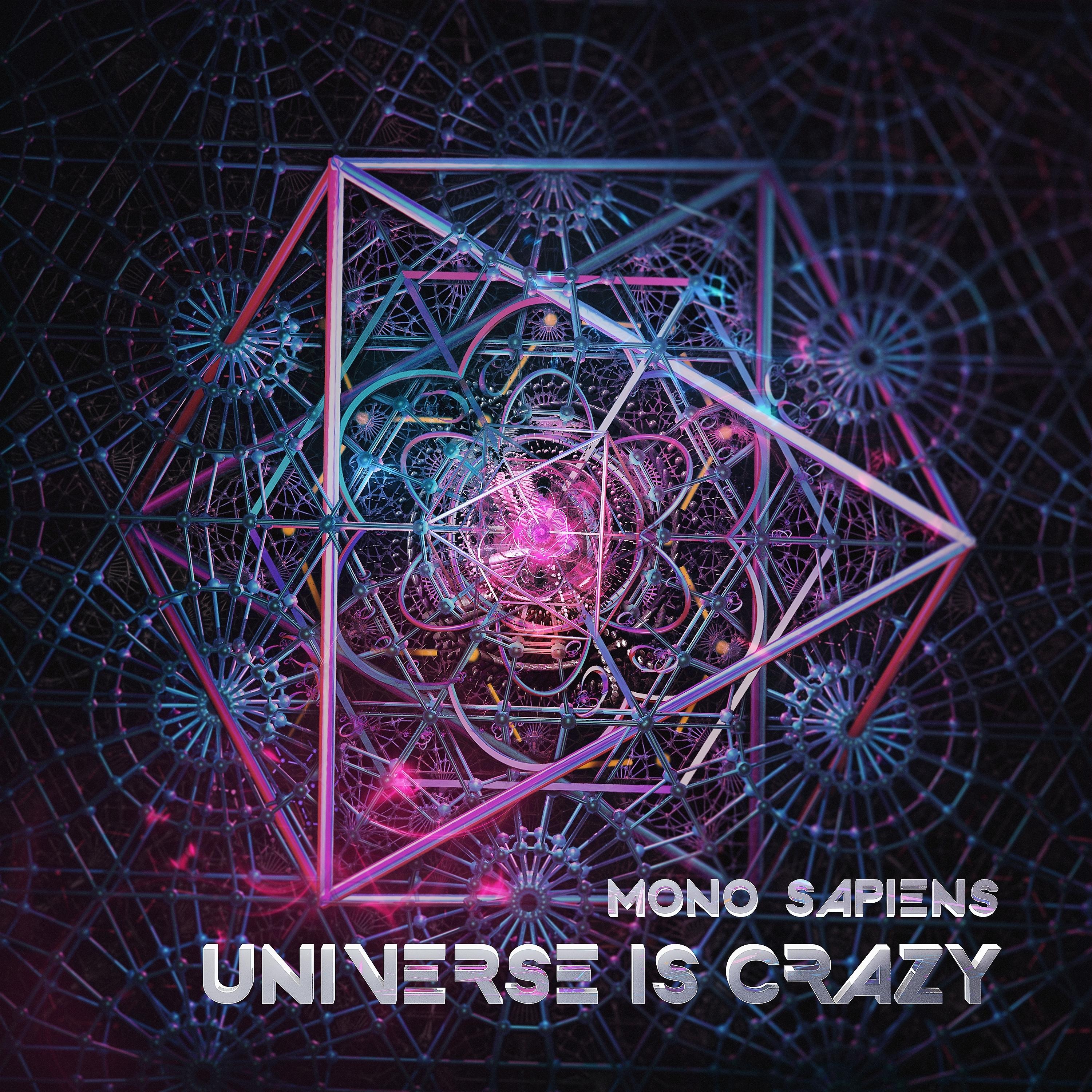 Постер альбома Universe is Crazy