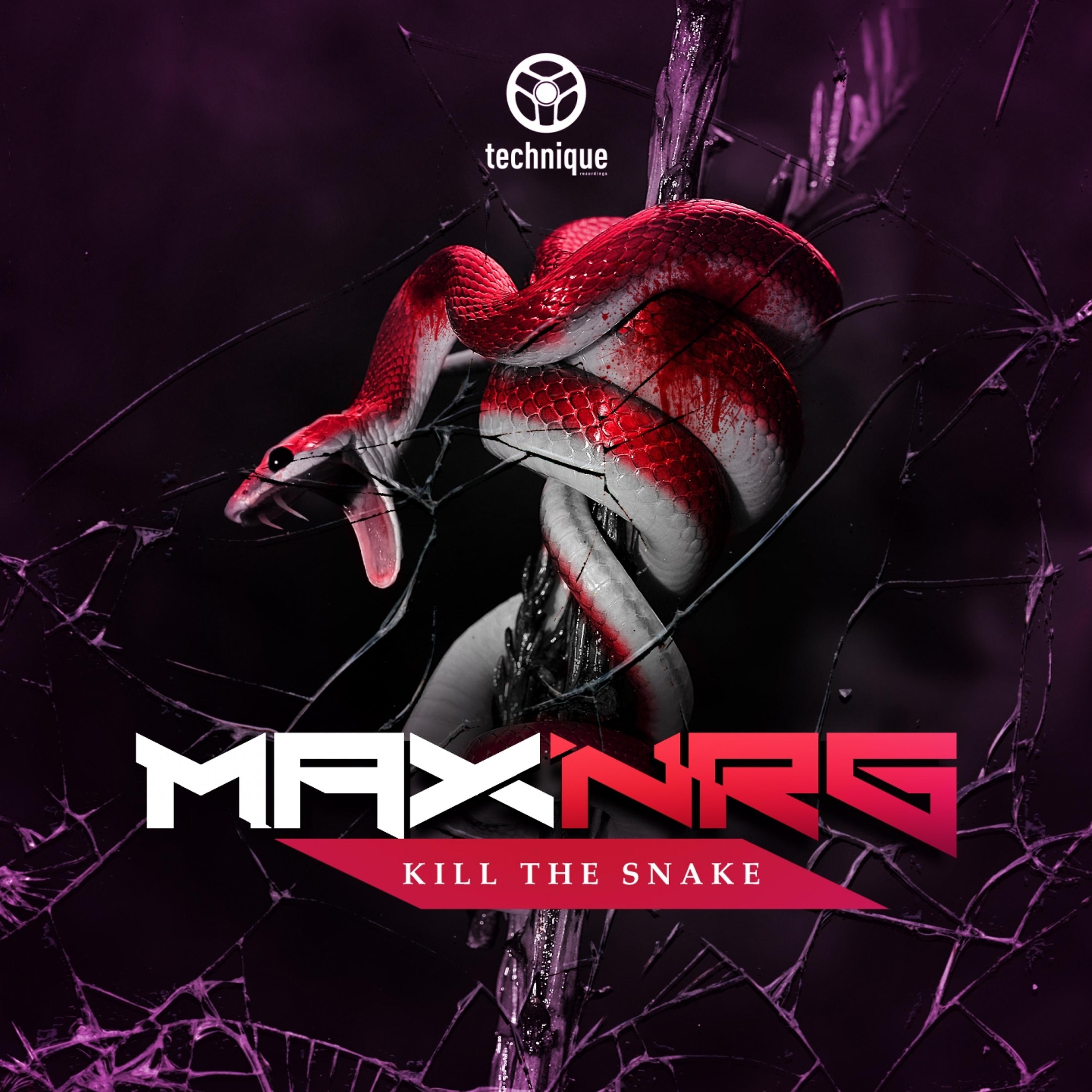 Постер альбома Kill the Snake