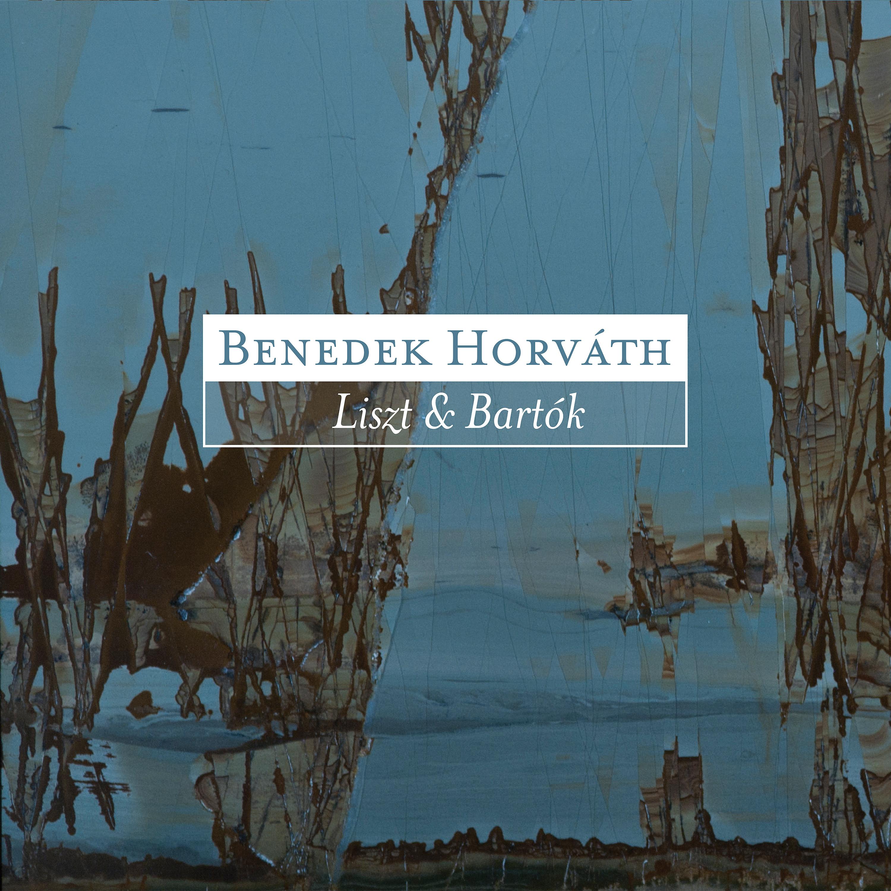 Постер альбома Bartók & Liszt: Piano Works