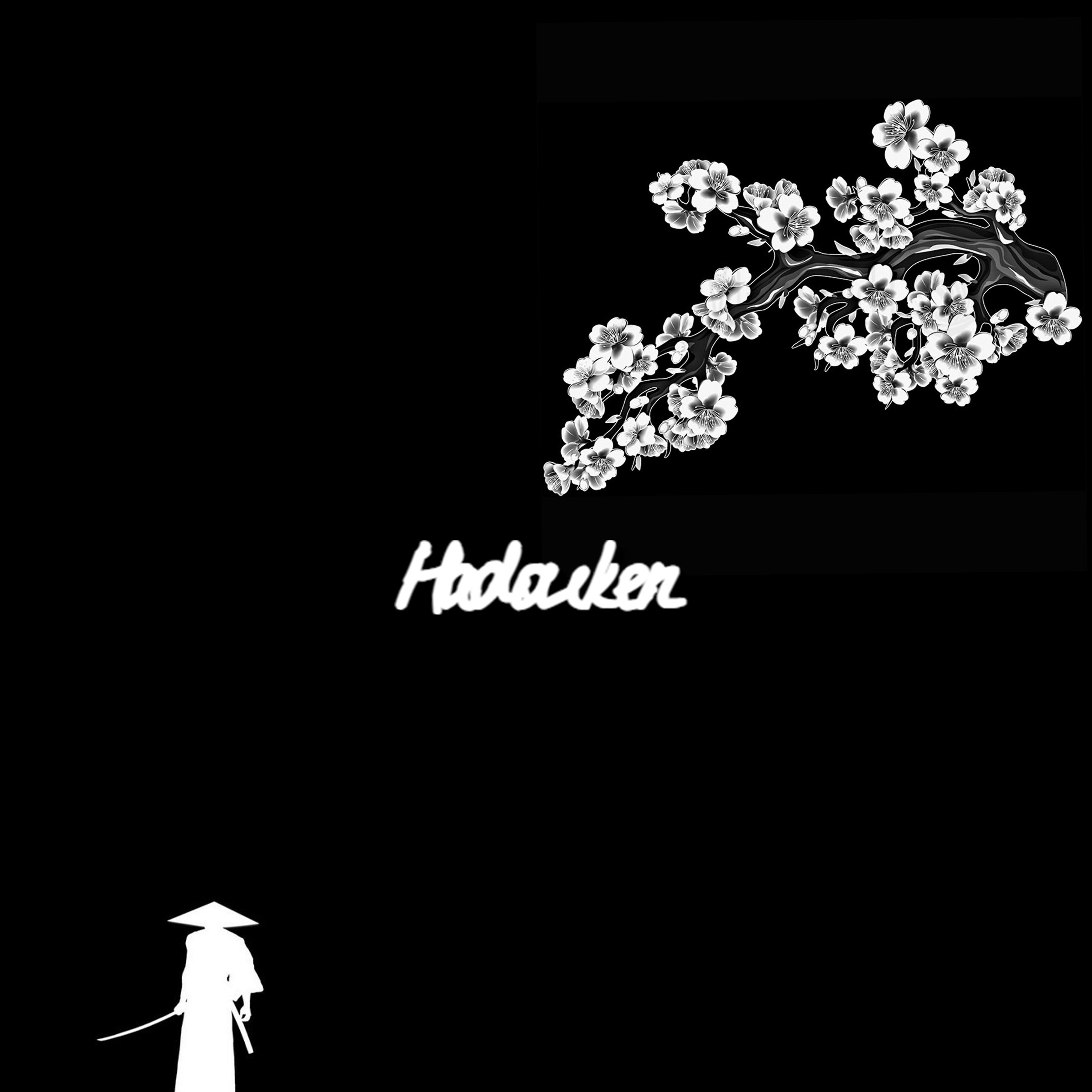 Постер альбома Hadouken