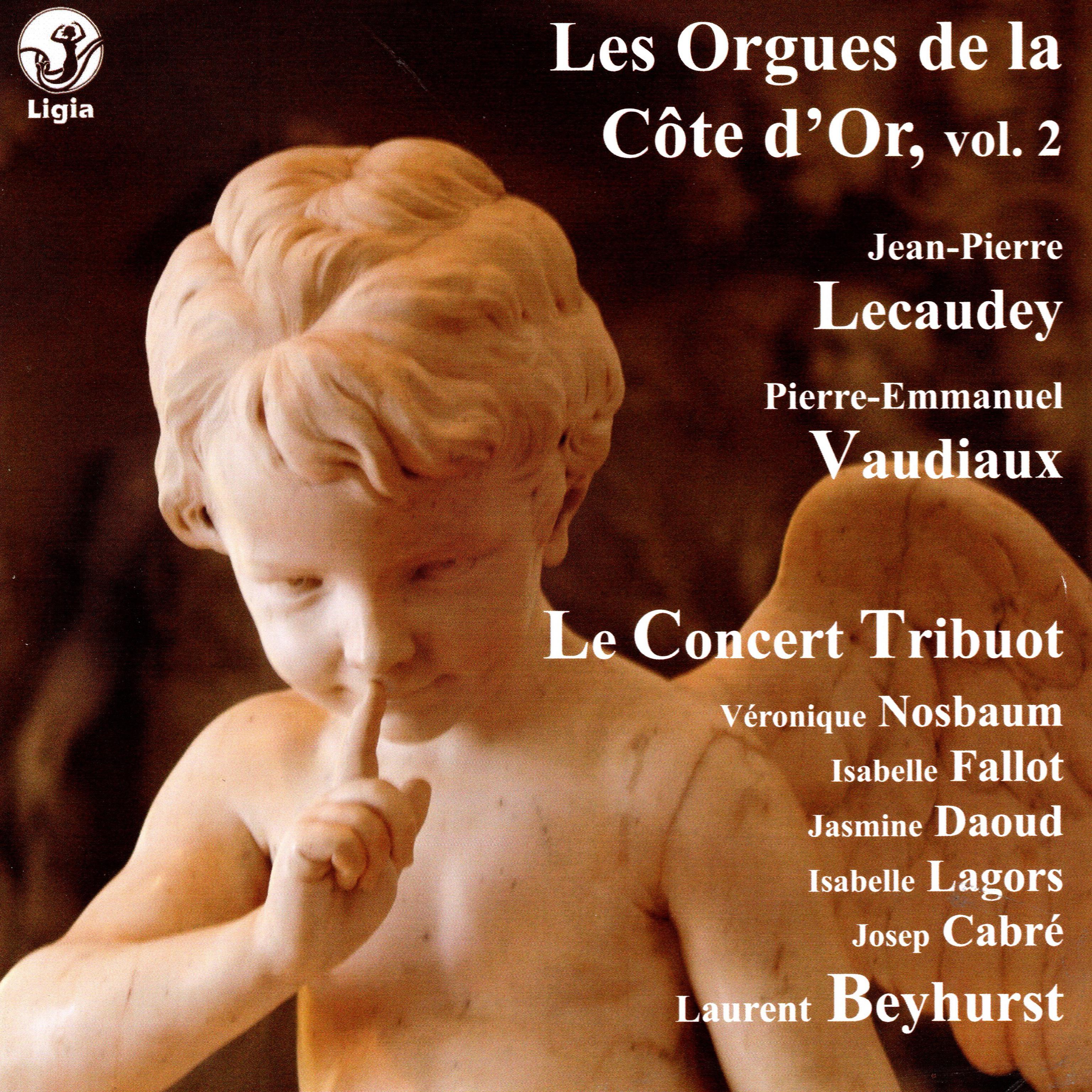 Постер альбома Les orgues de la Côte d'Or, Vol. 2