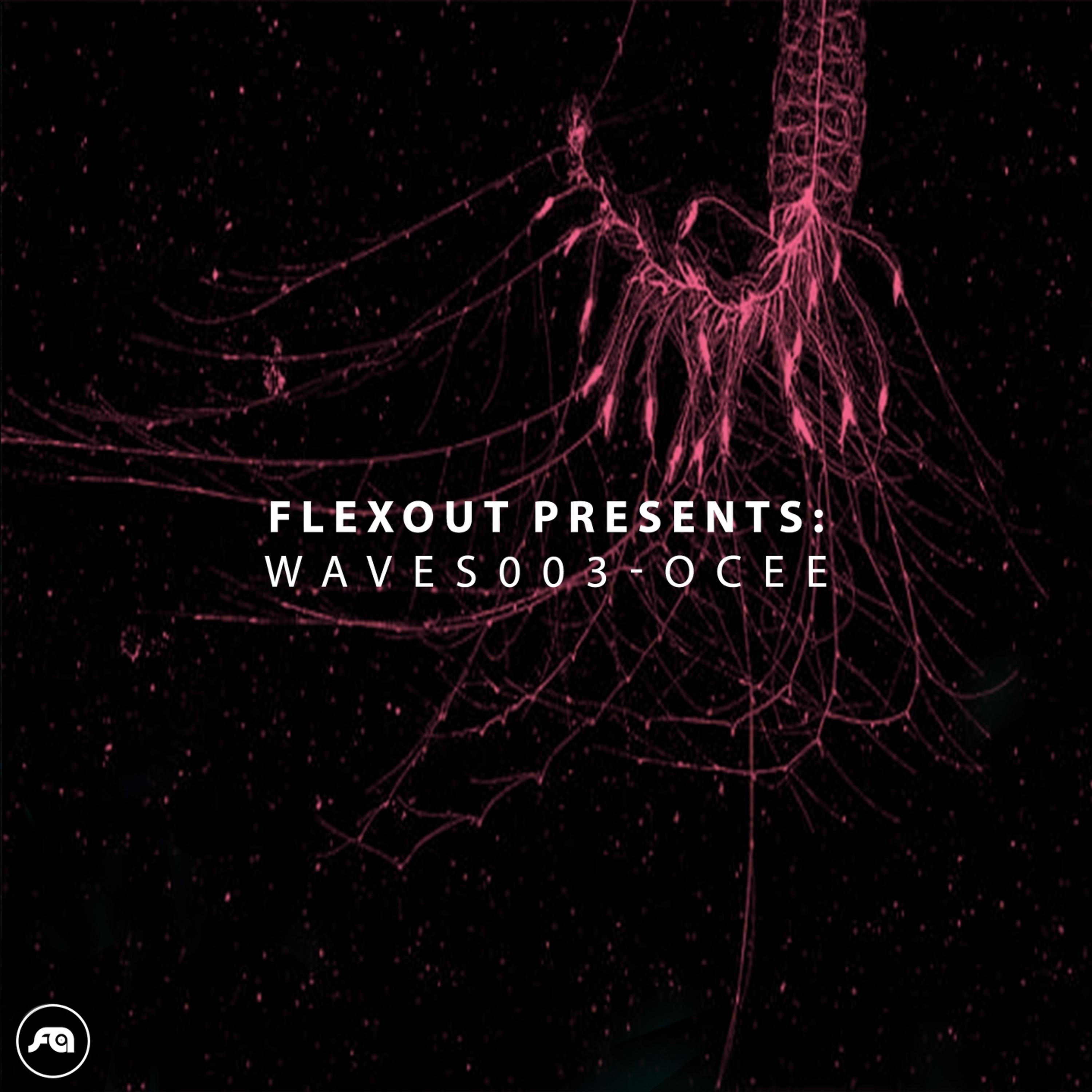Постер альбома Flexout Presents WAVES003: OCEE
