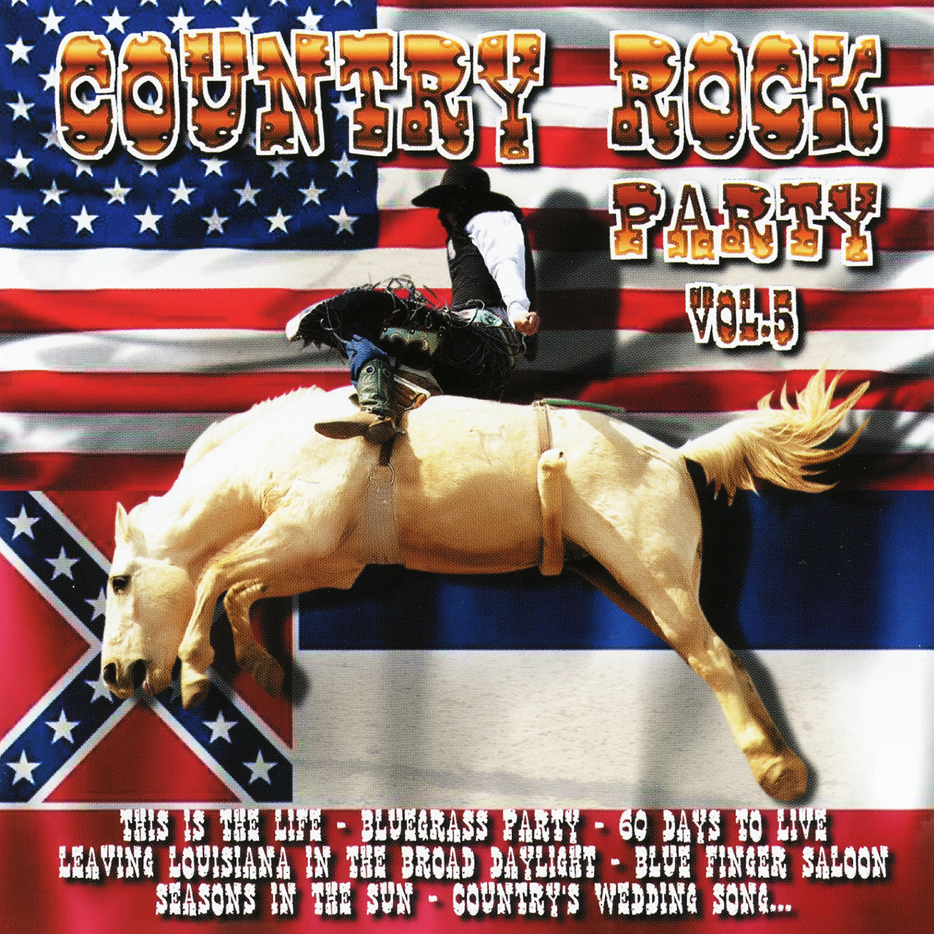 Country Rock Party - Bluegrass Party