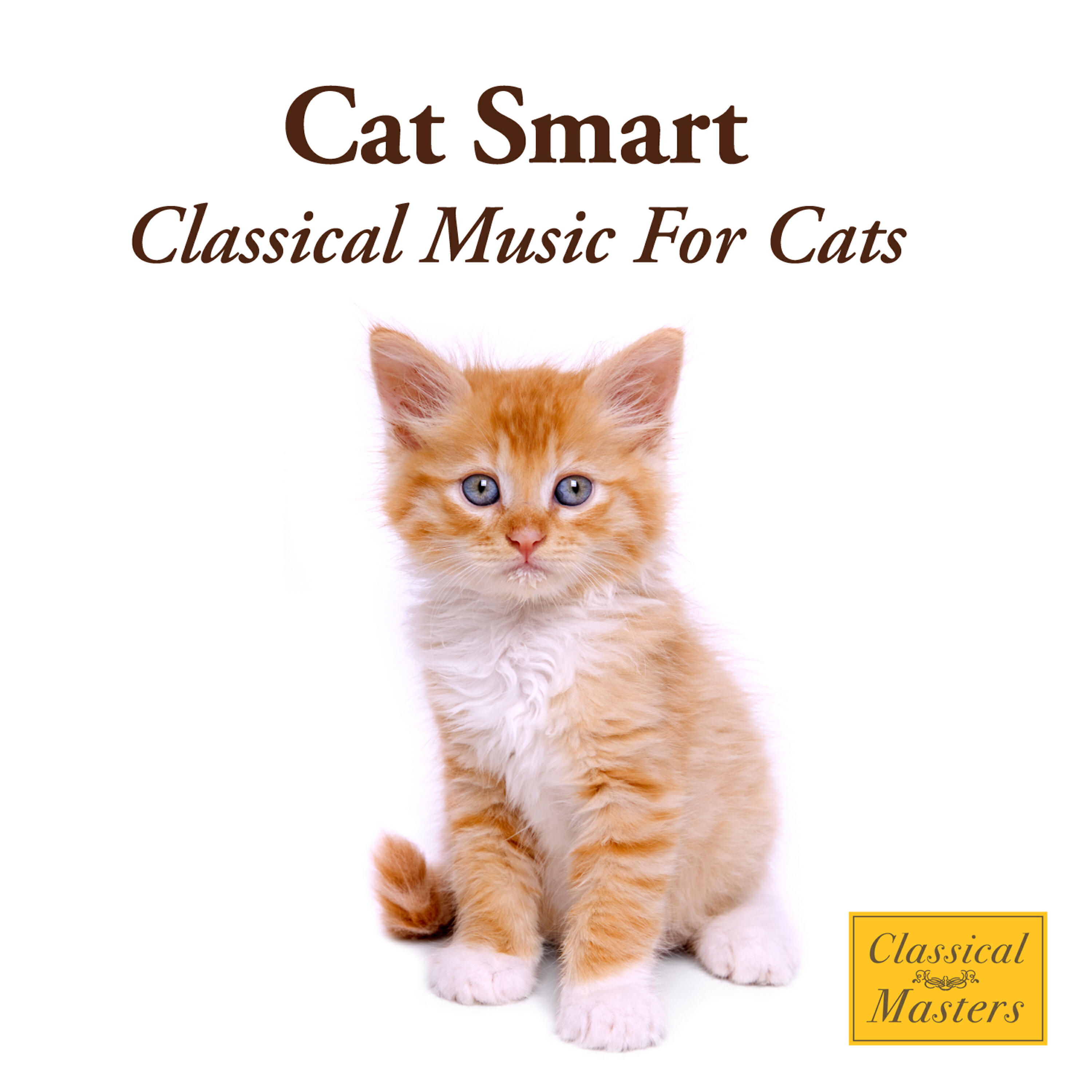 St. Martin's Orchestra - Mozart: Concerto for Two Pianos & Orchestra in E flat, K. 365-Allegro
