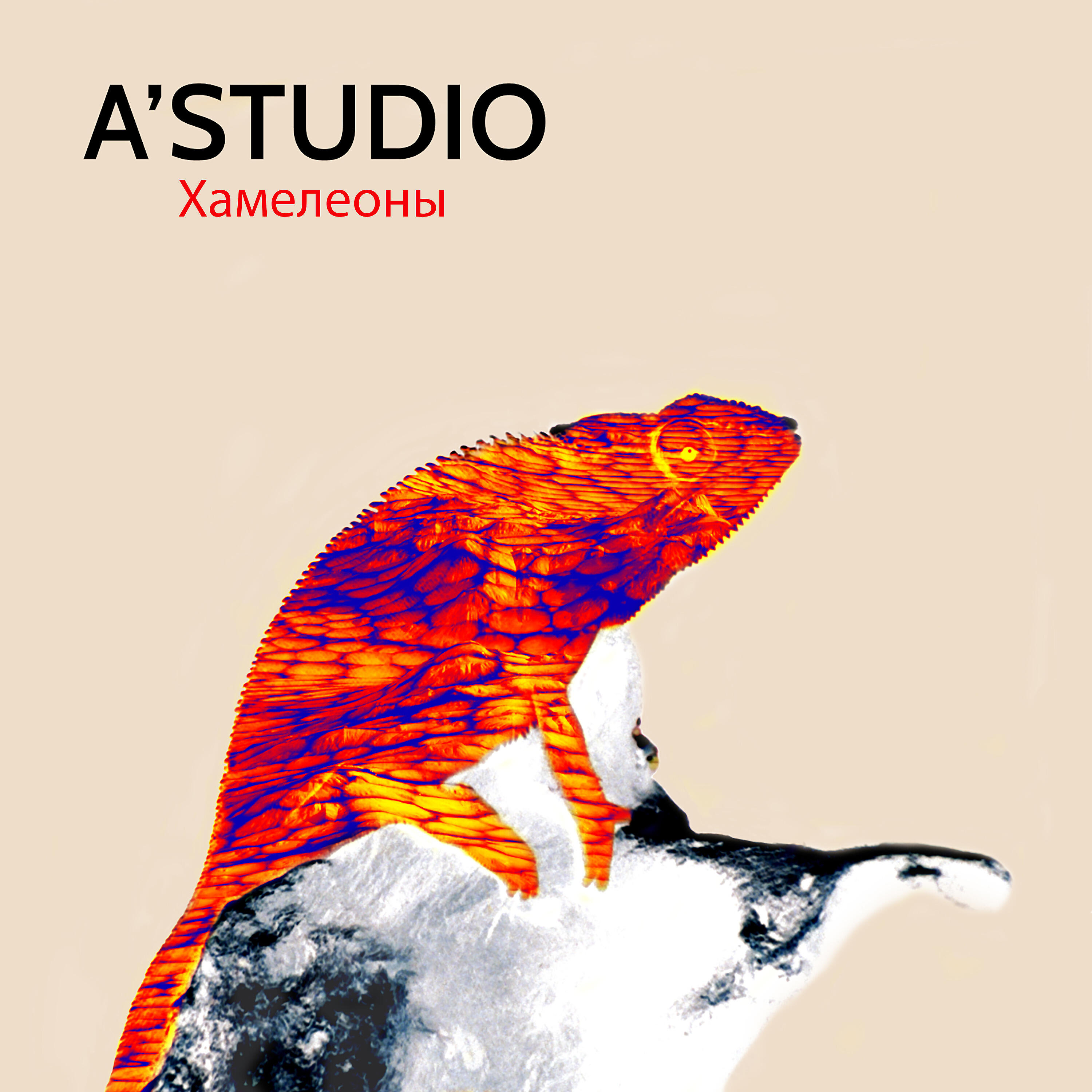 A'Studio - Хамелеоны