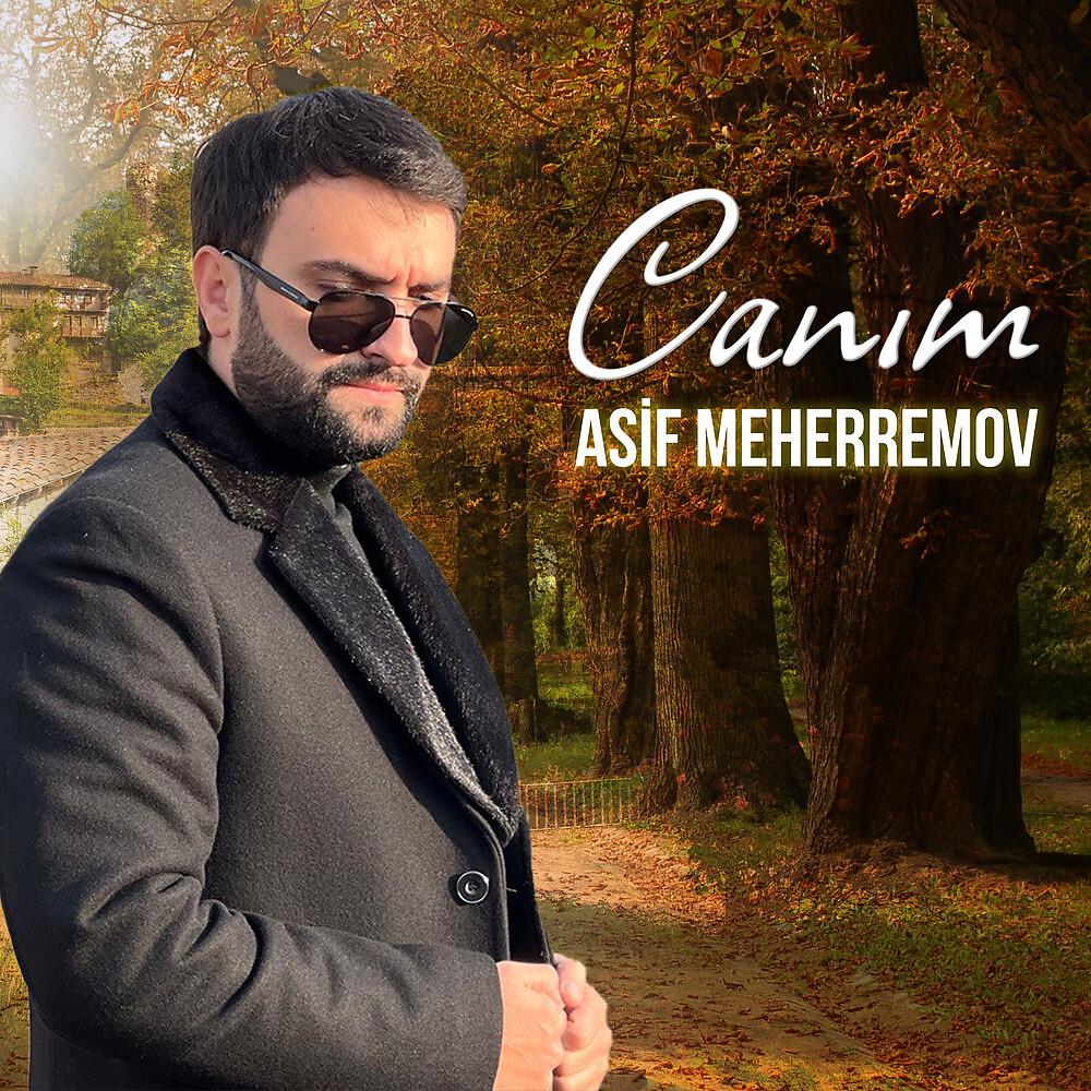 Постер альбома Canım