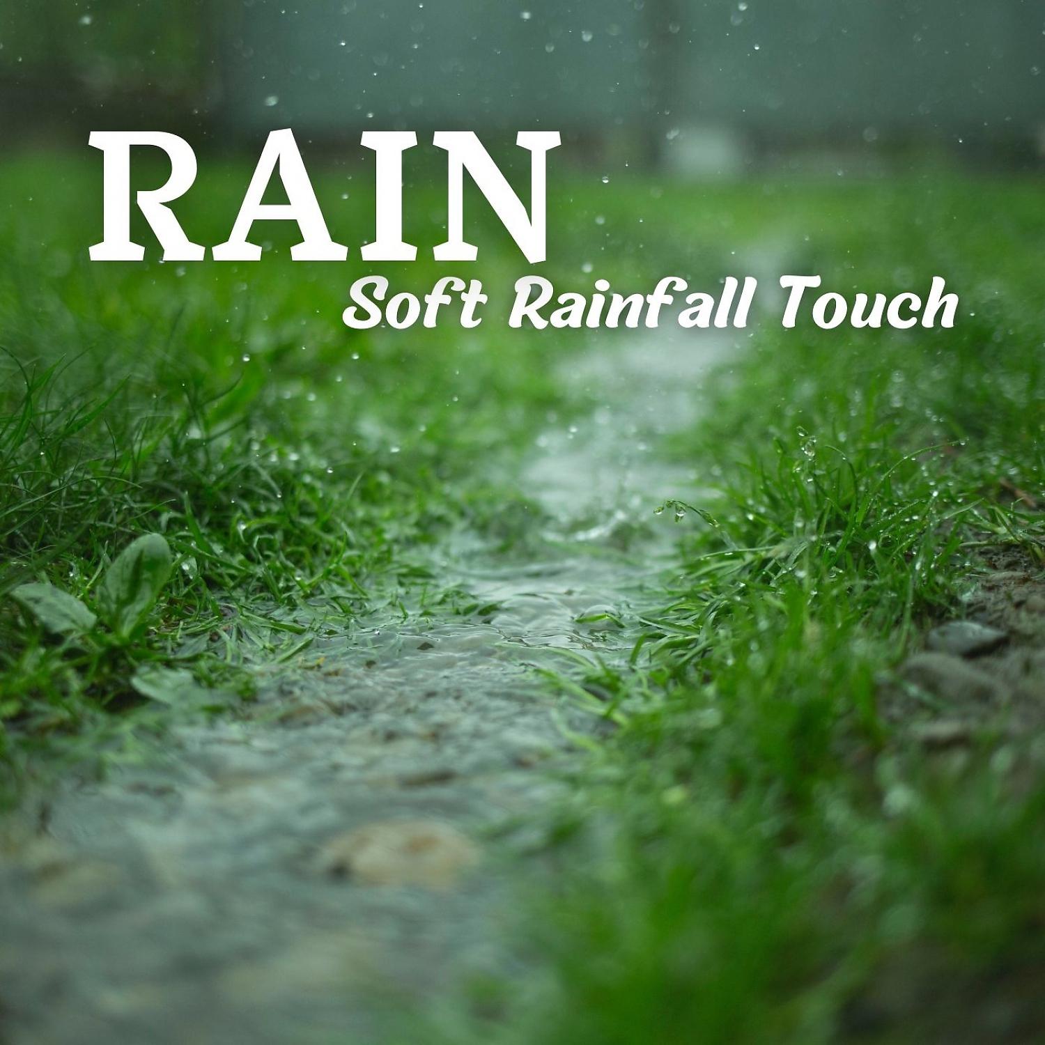 Постер альбома Rain: Soft Rainfall Touch