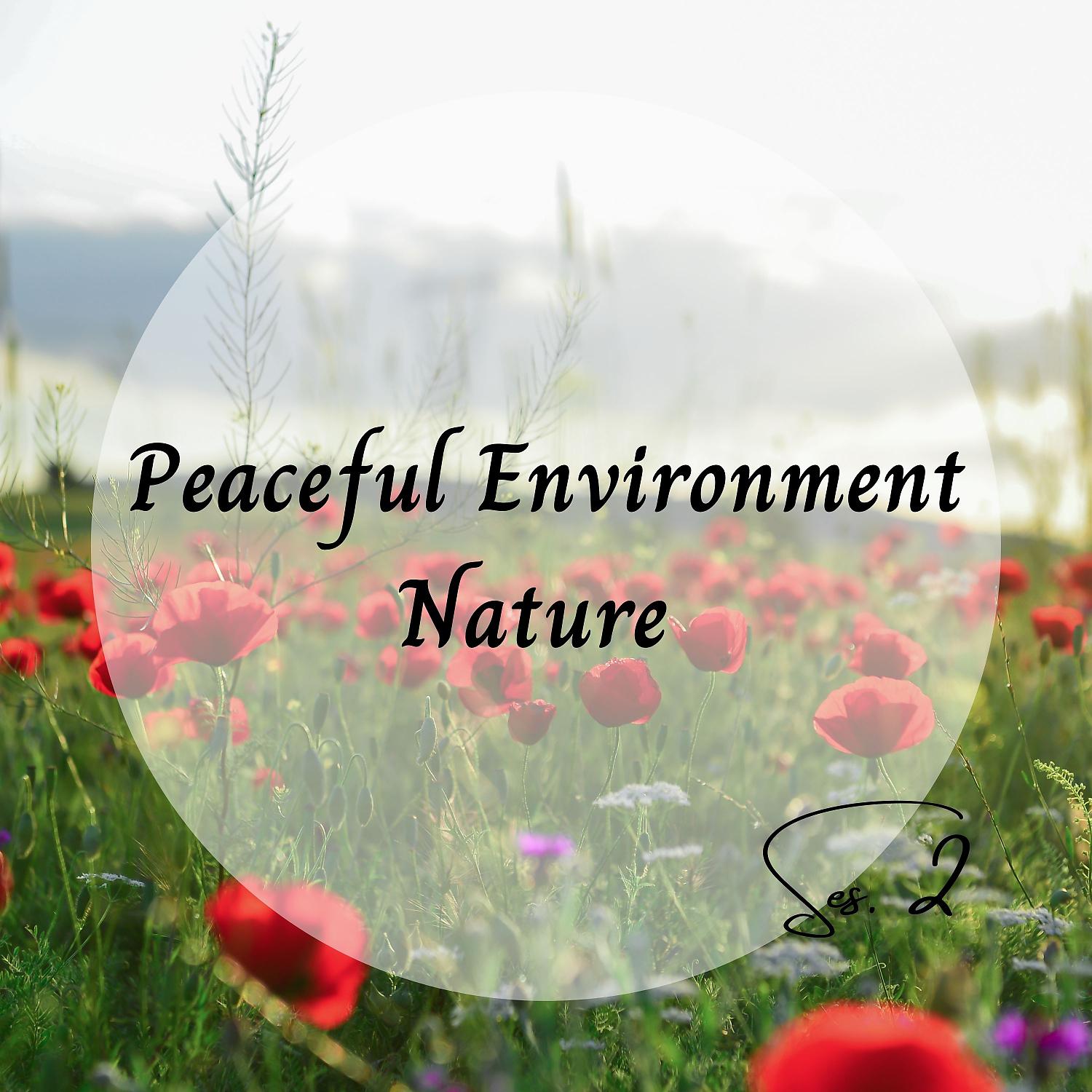 Постер альбома Peaceful Environment Nature Ses. 2