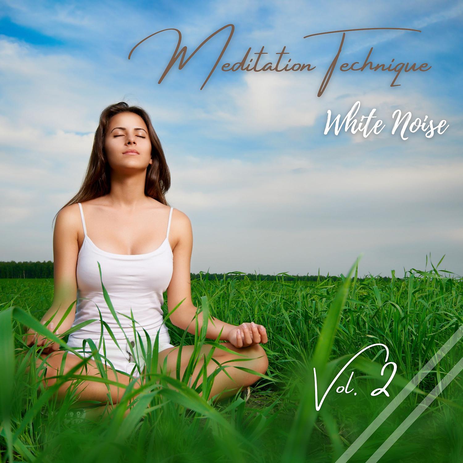 Постер альбома White Noise: Meditation Technique Vol. 2