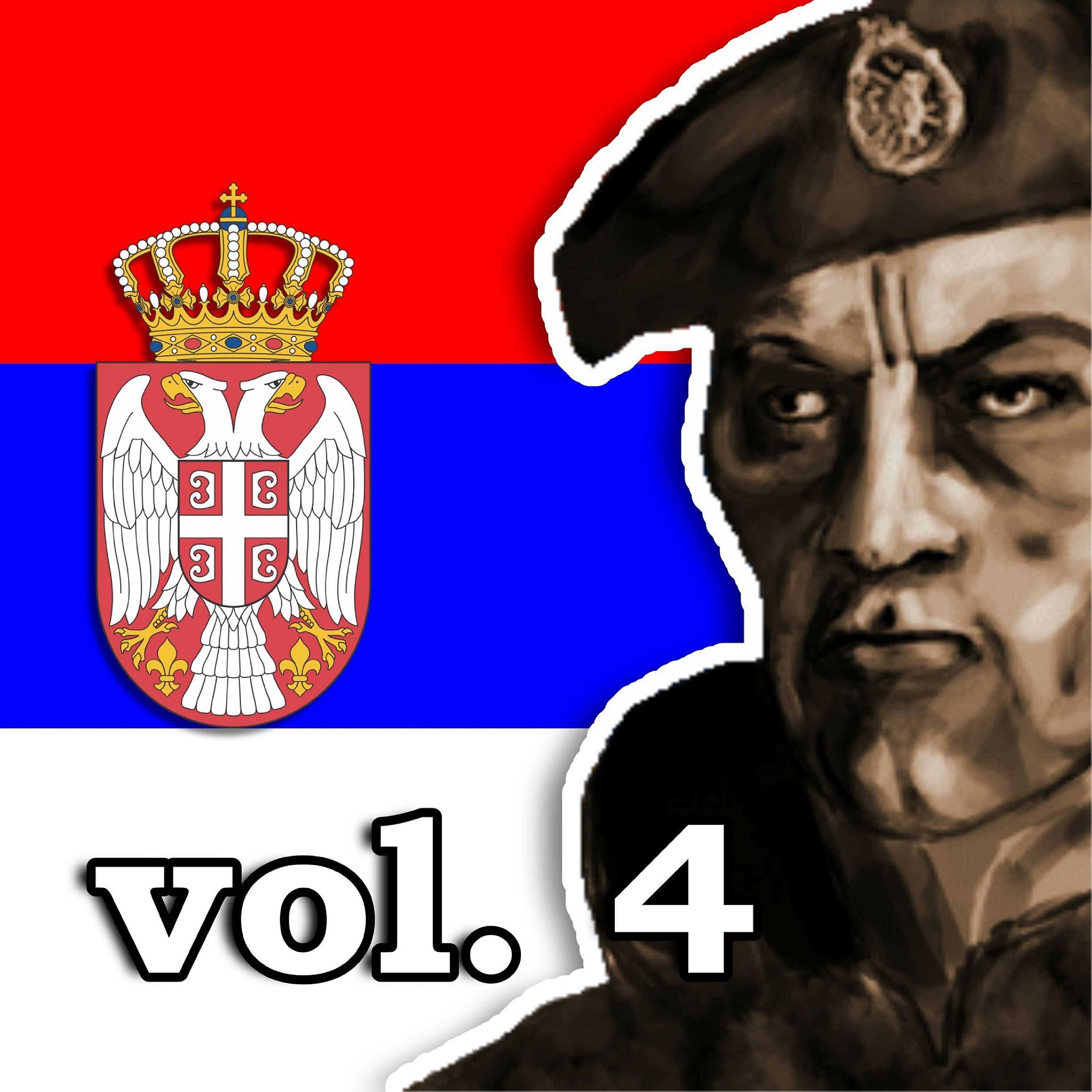 Постер альбома Koktel patriotskih hitova vol. 4