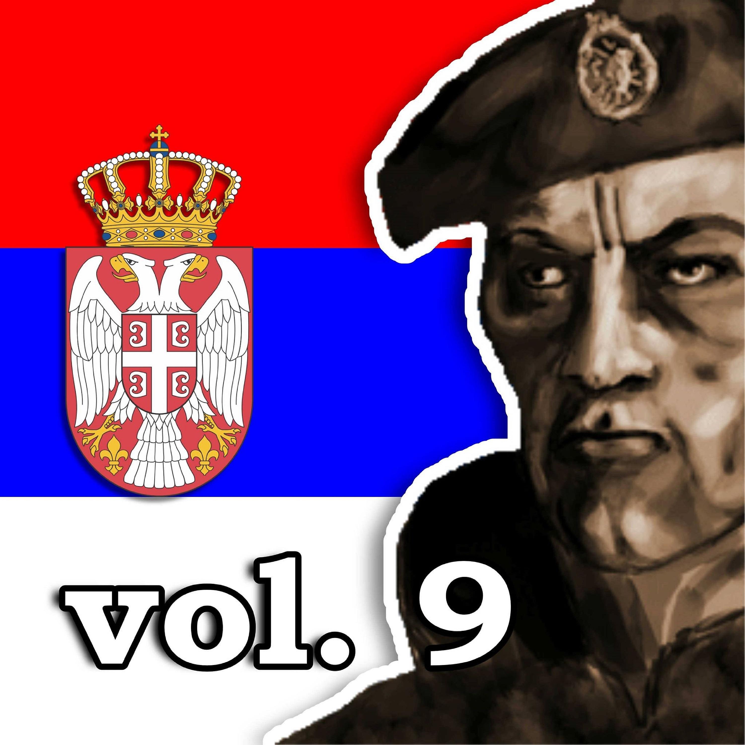 Постер альбома Koktel patriotskih hitova vol. 9