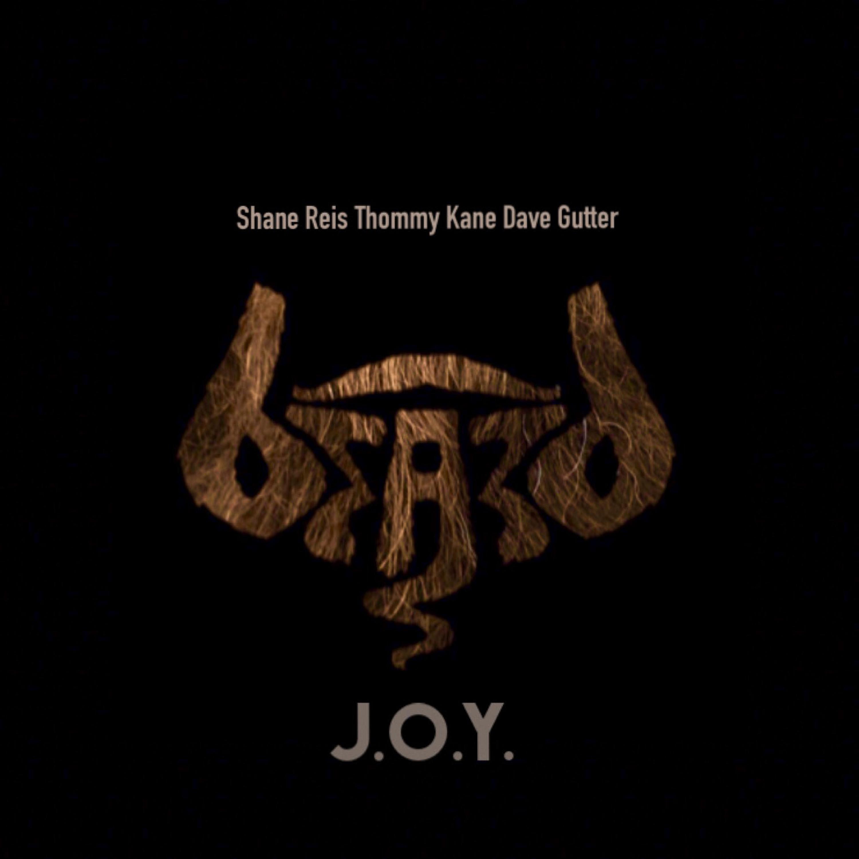 Постер альбома J.O.Y. (feat. Dave Gutter, Thommy Kane & Shane Reis)