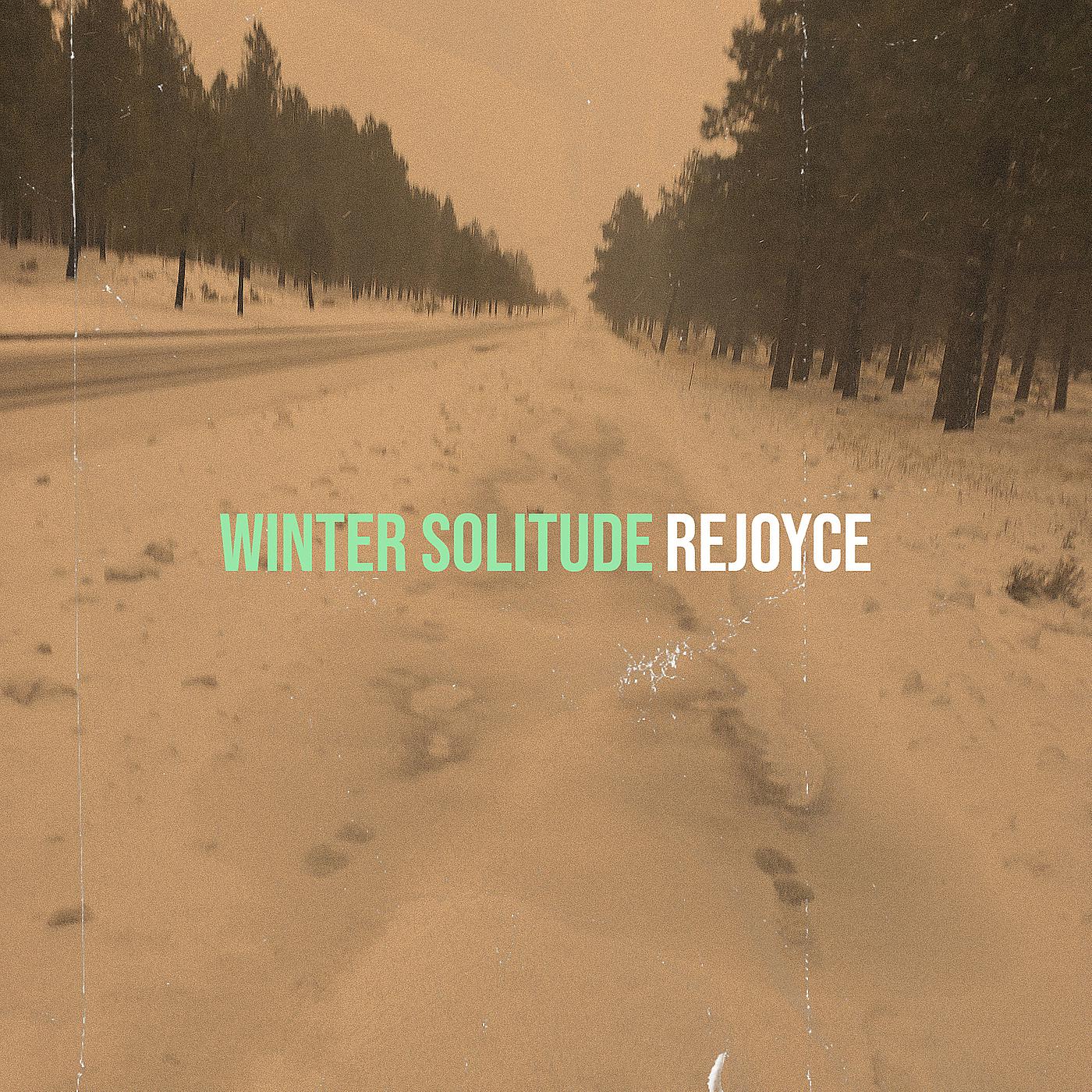 Постер альбома Winter Solitude
