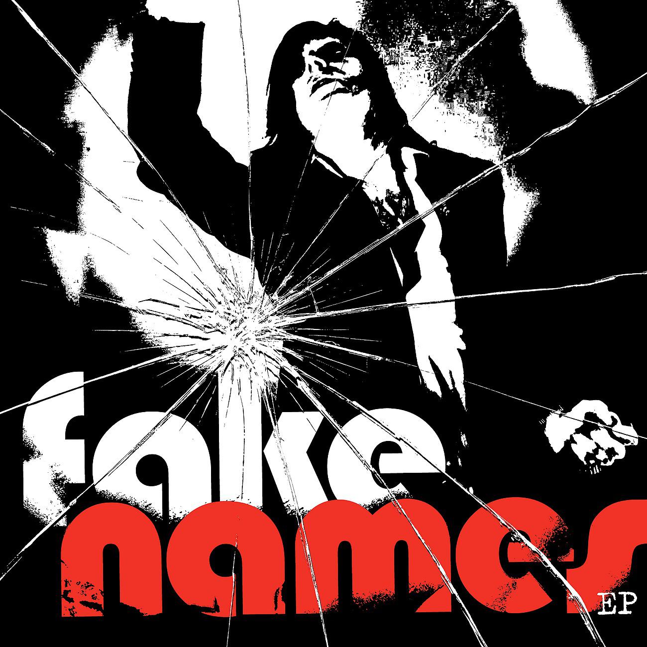Постер альбома Fake Names