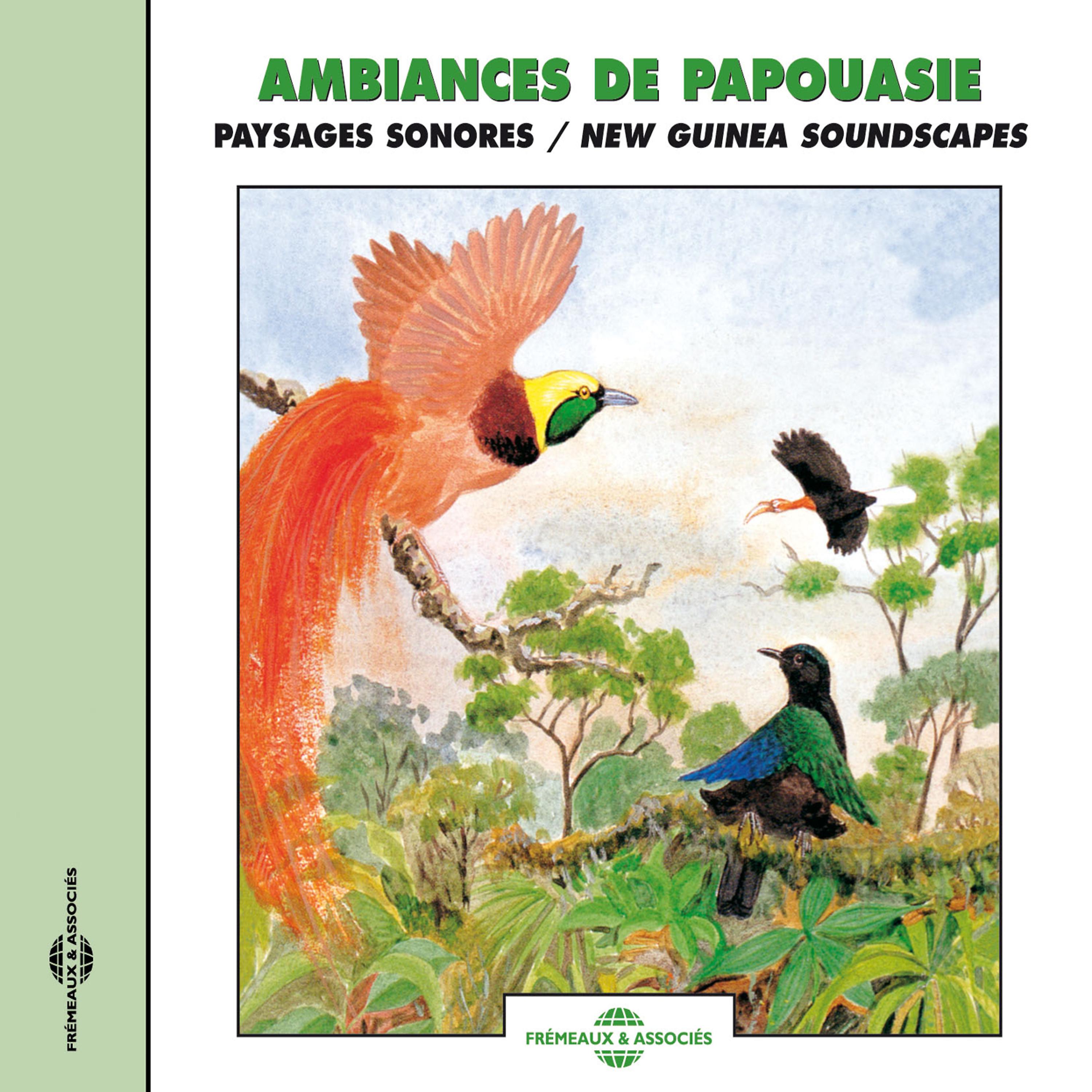 Постер альбома New Guinea Soundscapes