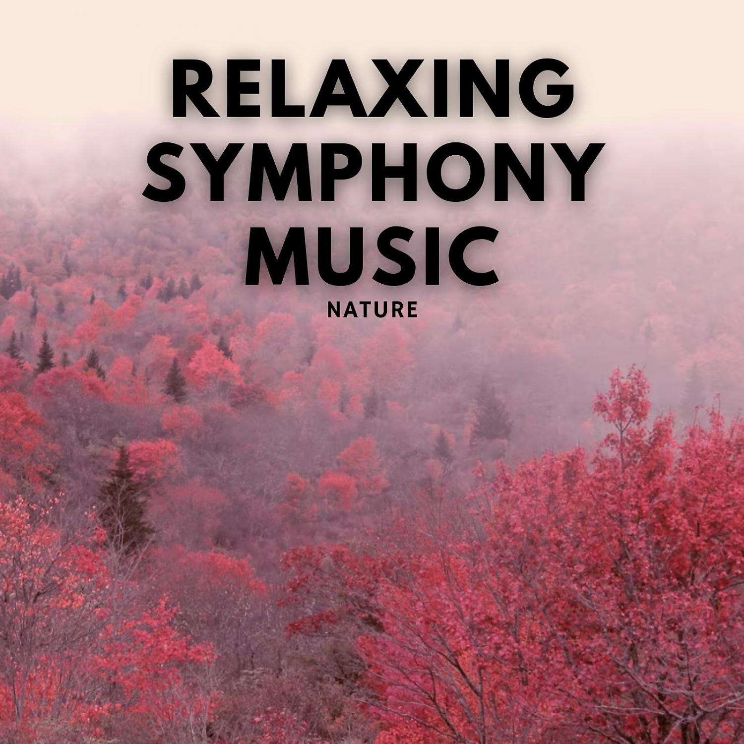 Постер альбома Nature: Relaxing Symphony Music