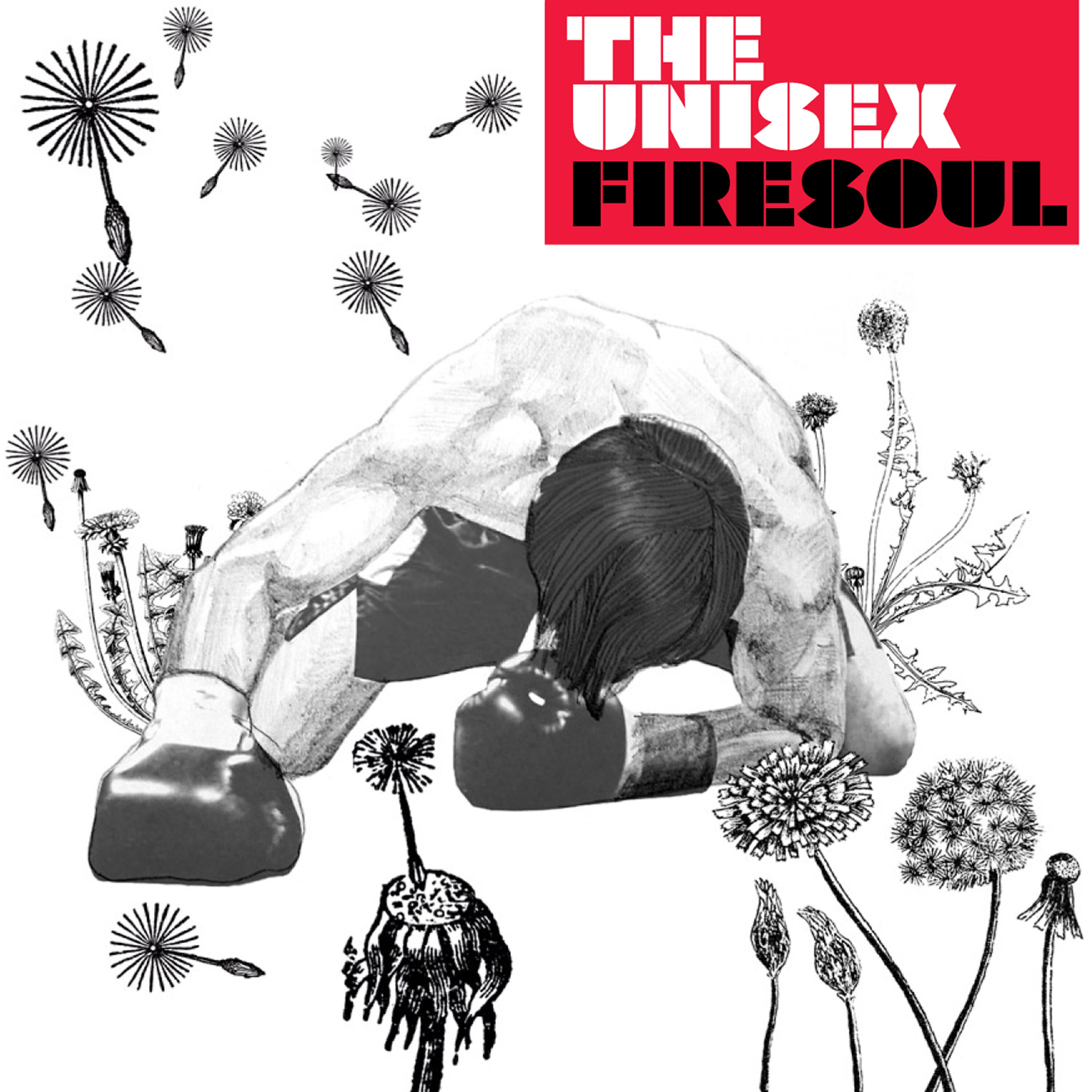 The Unisex - Firesoul