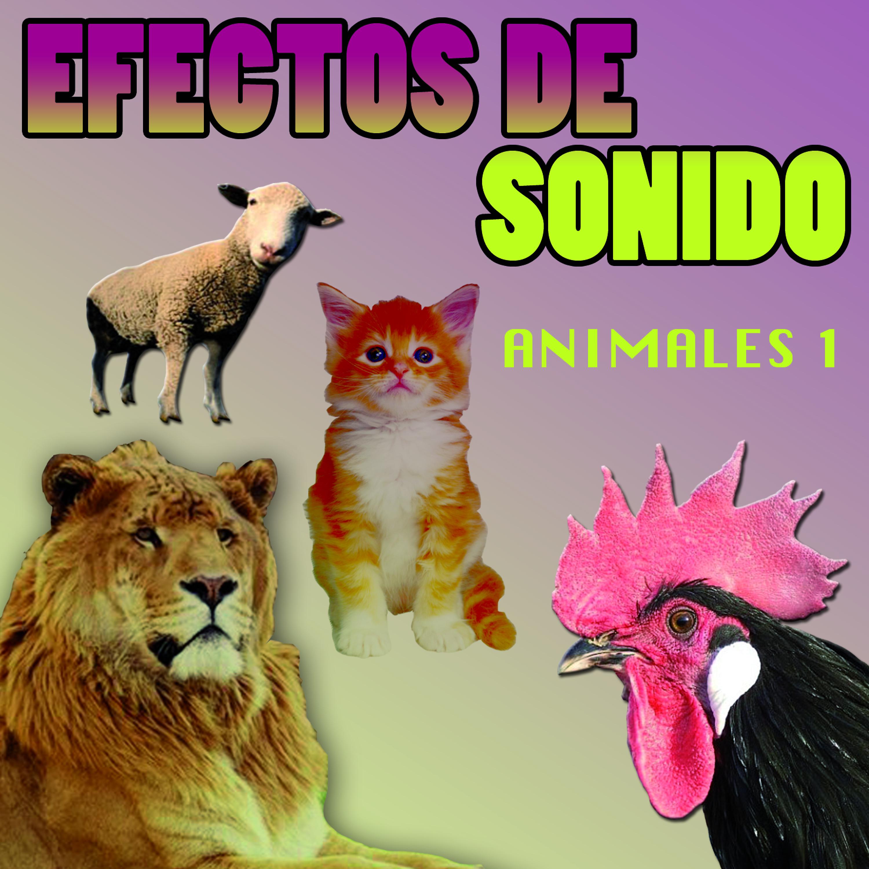Постер альбома Efectos De Sonido Animales Vol.2