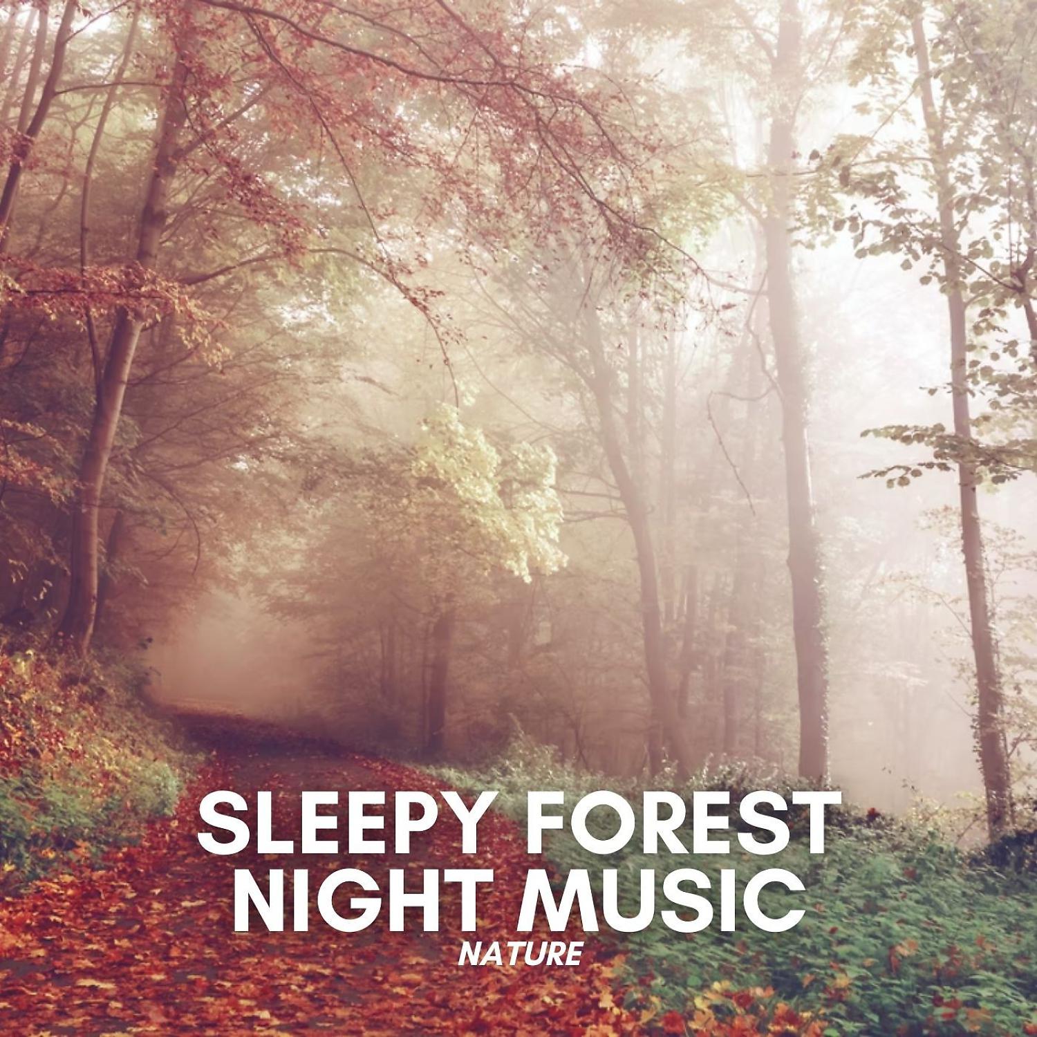 Постер альбома Nature: Sleepy Forest Night Music