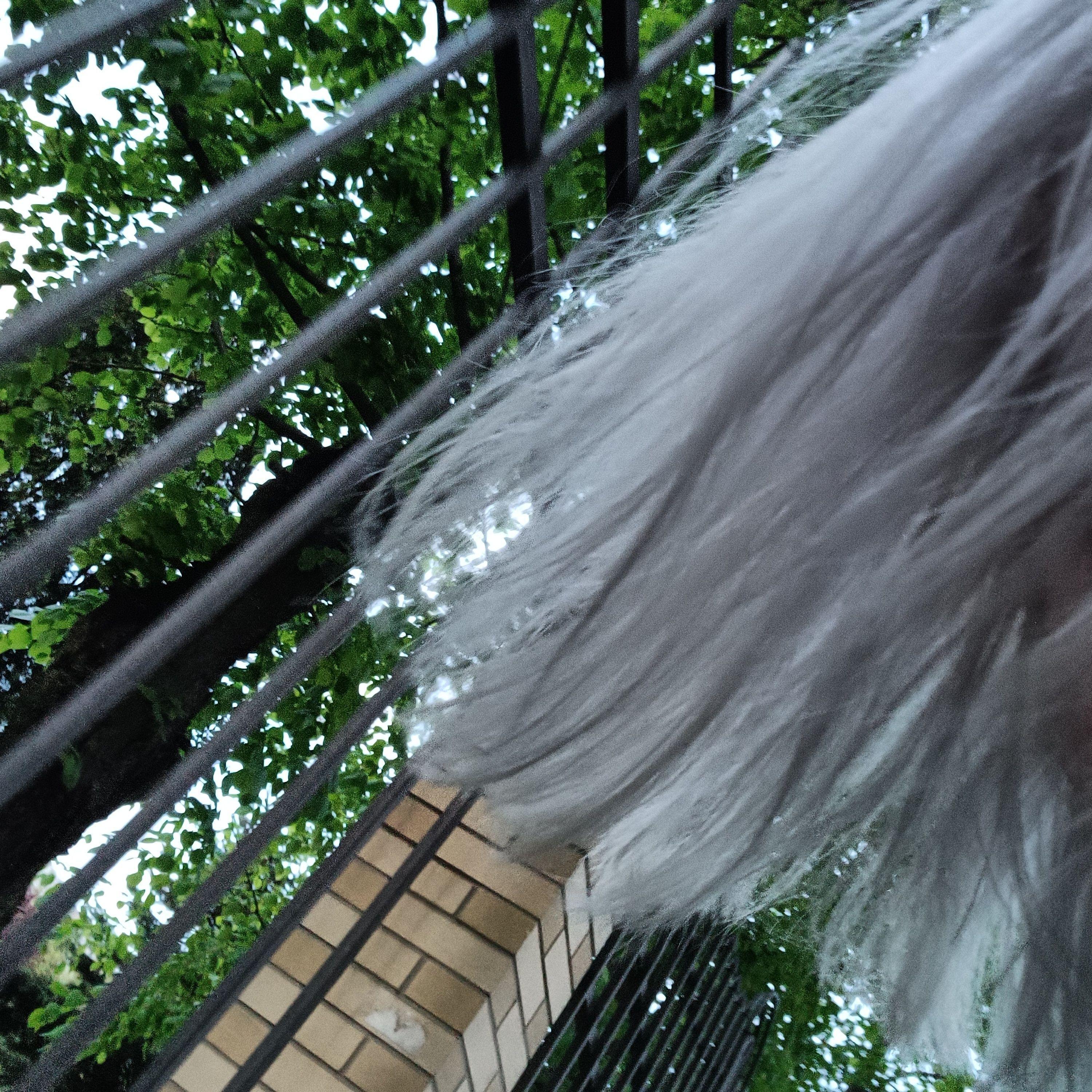 fem.love все песни в mp3