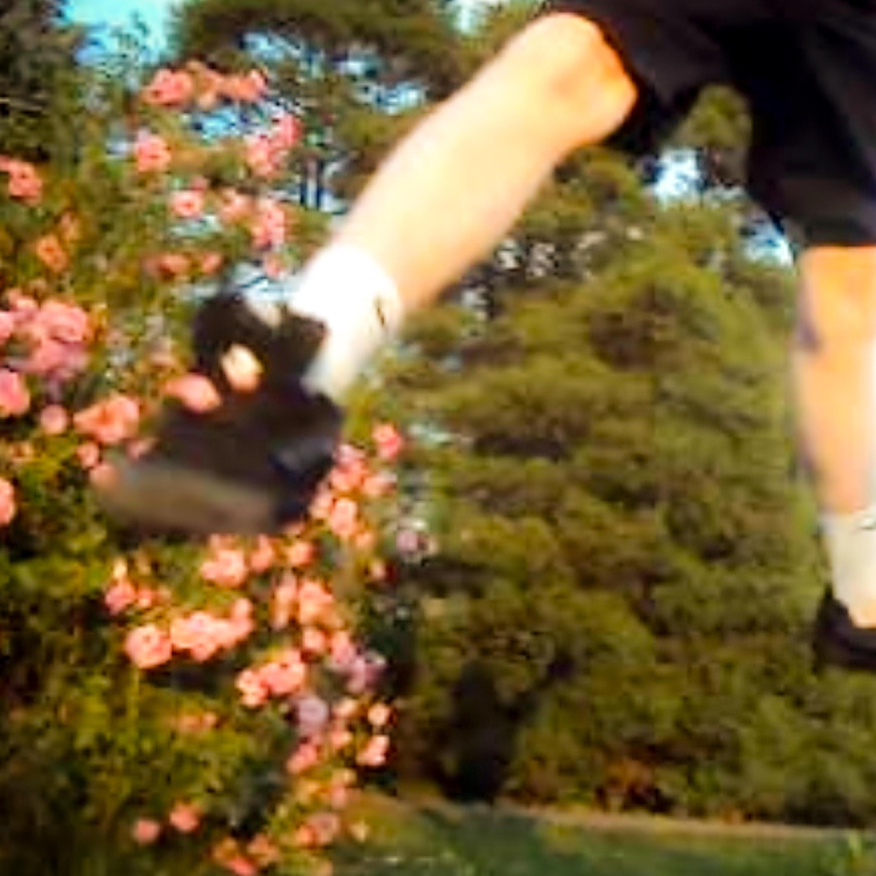 nowkie все песни в mp3