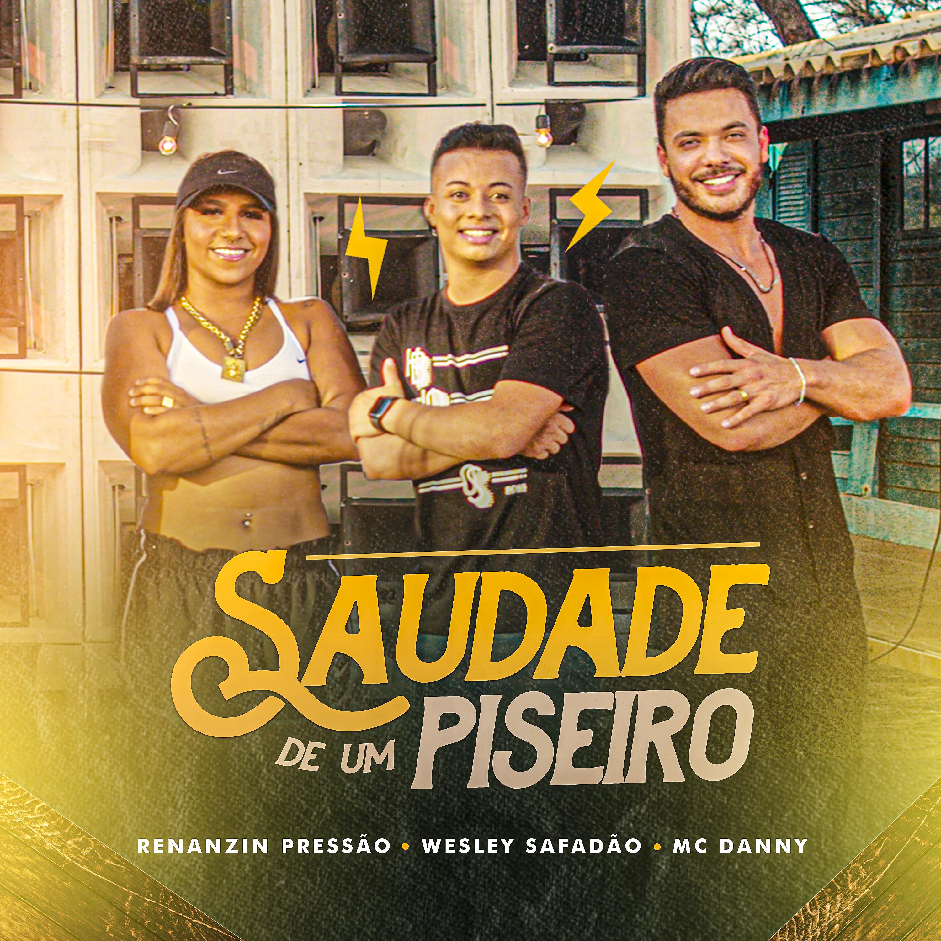Постер альбома Saudade de Um Piseiro