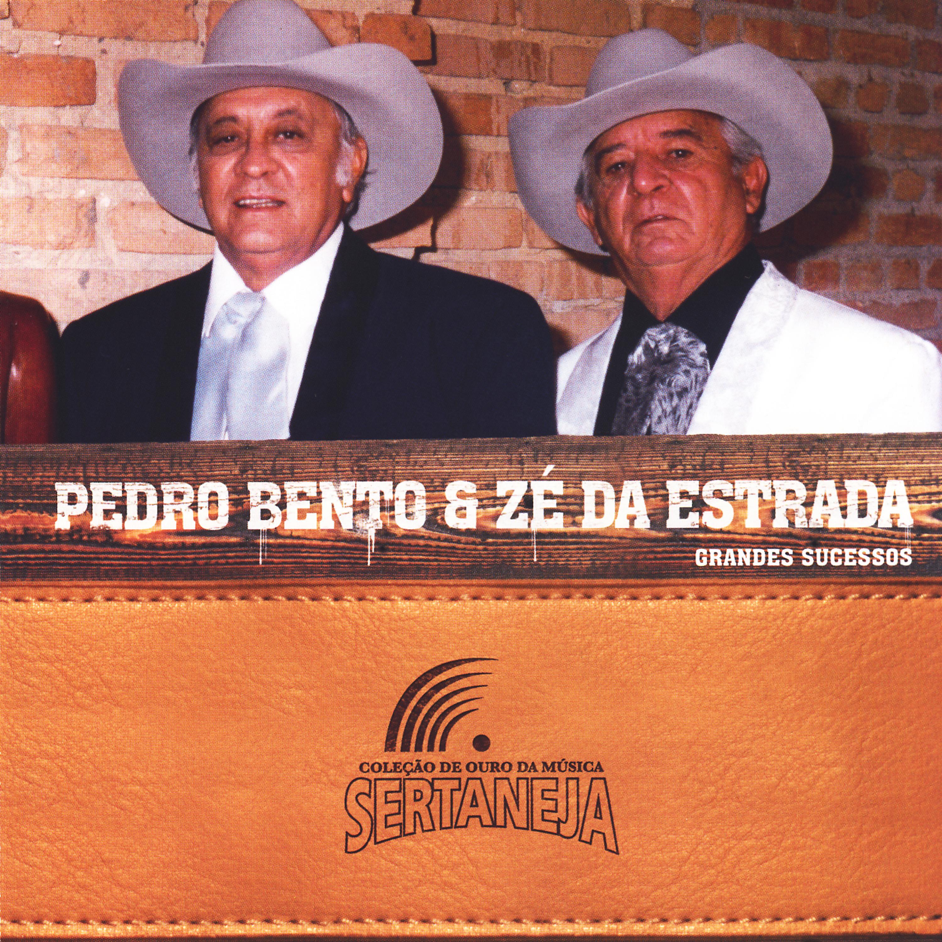 Постер альбома Coleção de Ouro da Música Sertaneja: Pedro Bento & Zé da Estrada