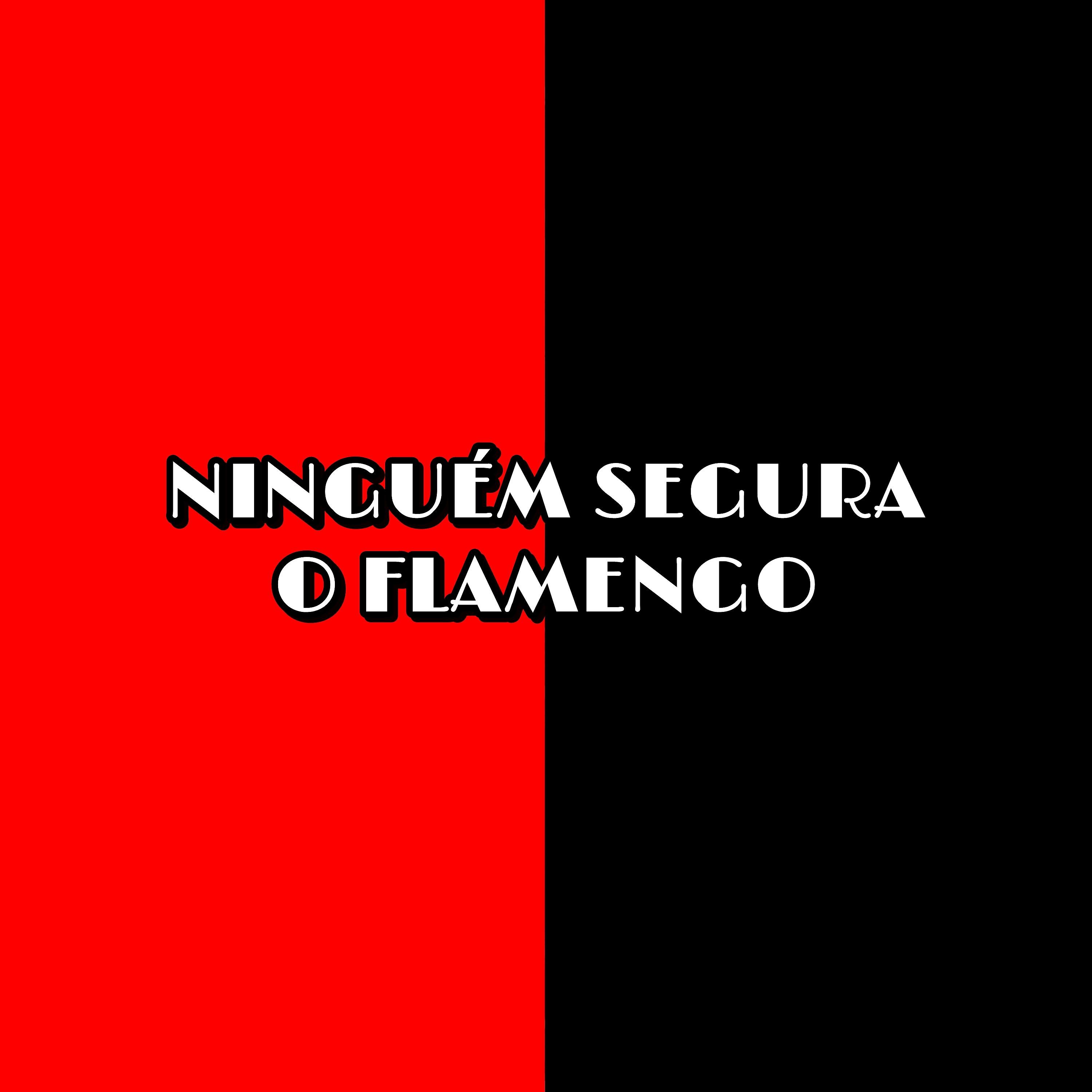 FFnoBeat - Ninguém Segura o Flamengo