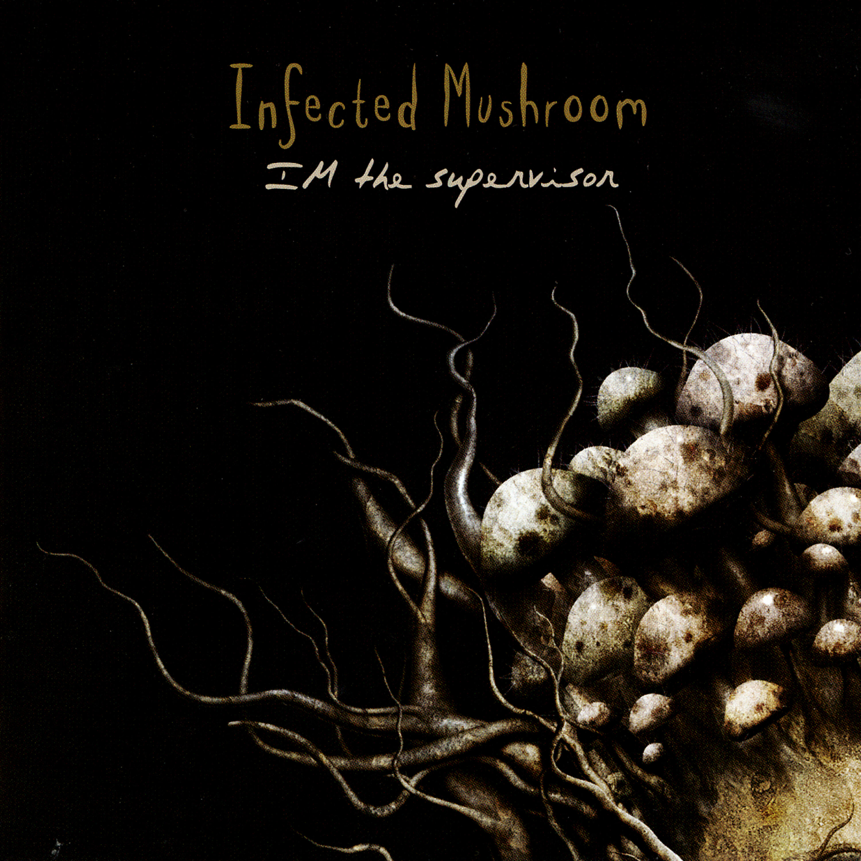 Infected Mushroom - Im The Supervisor