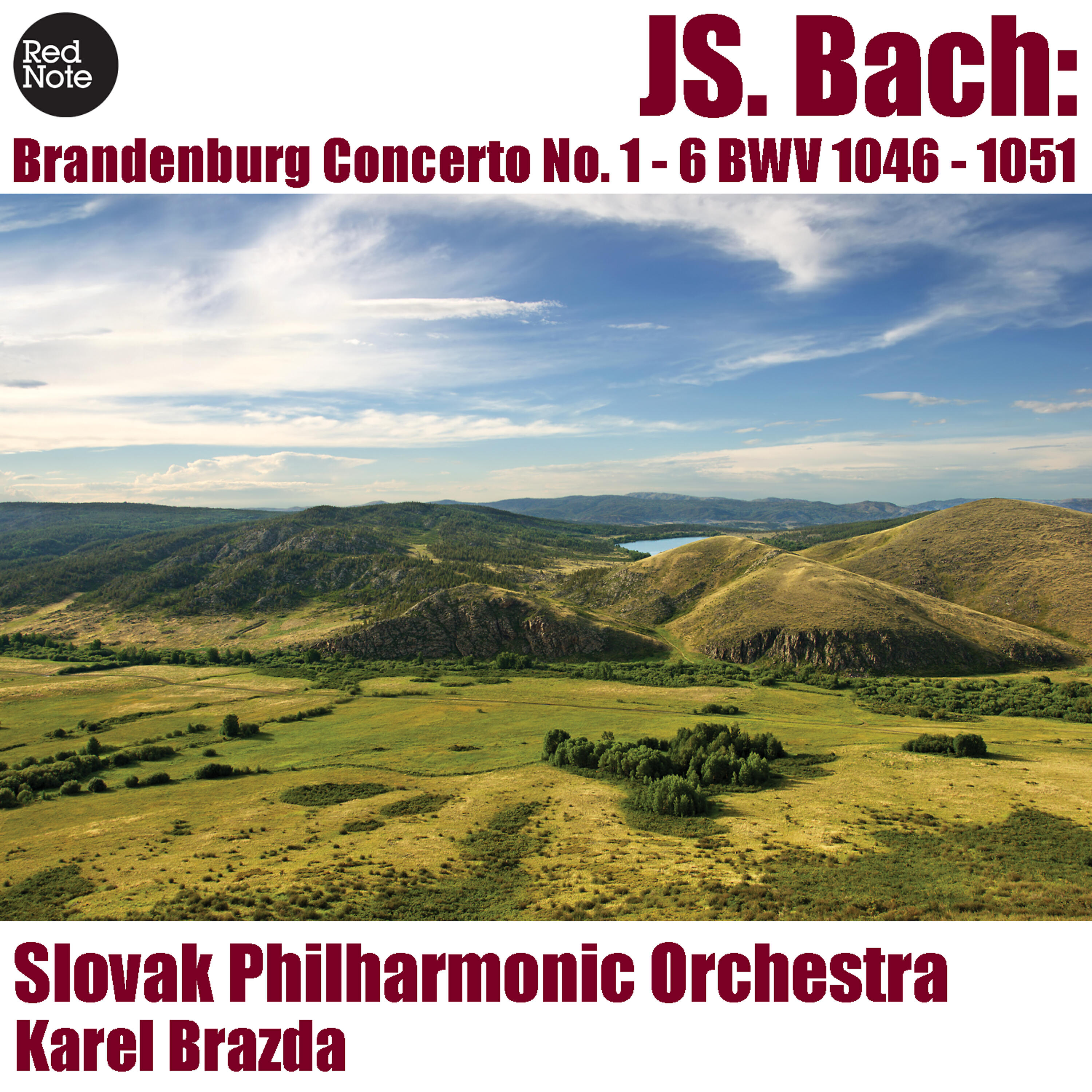 Karel Brazda - Brandenburg Concerto No. 6 in G major, BWV 1051: I. Allegro