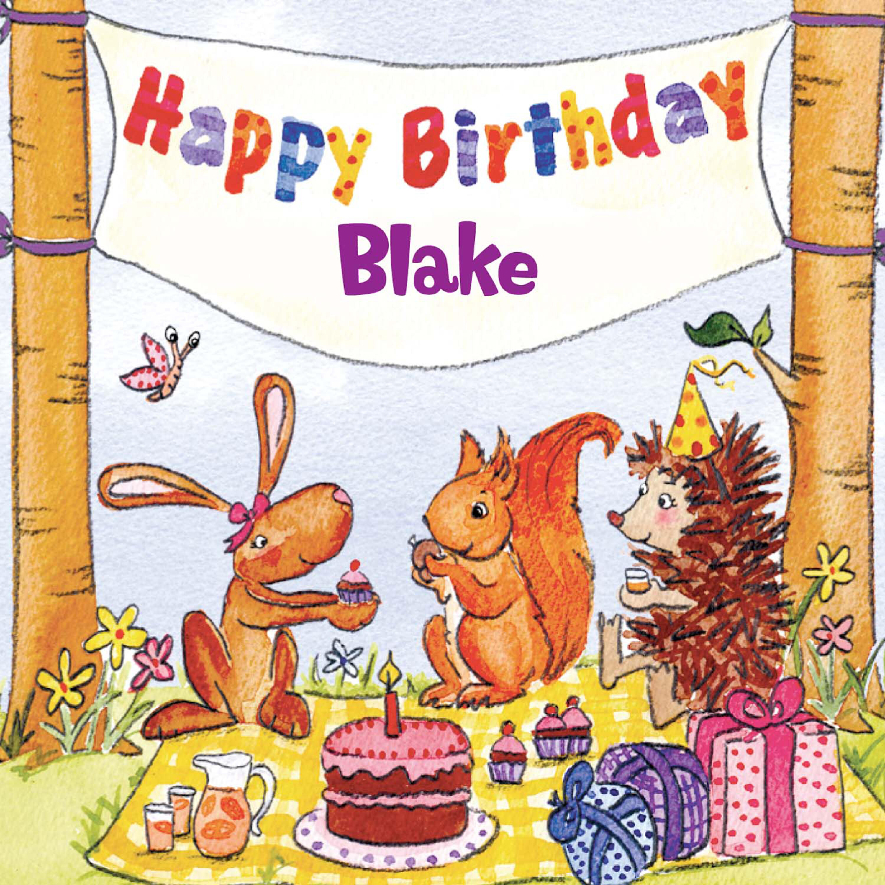 The Birthday Bunch - Hokey Cokey