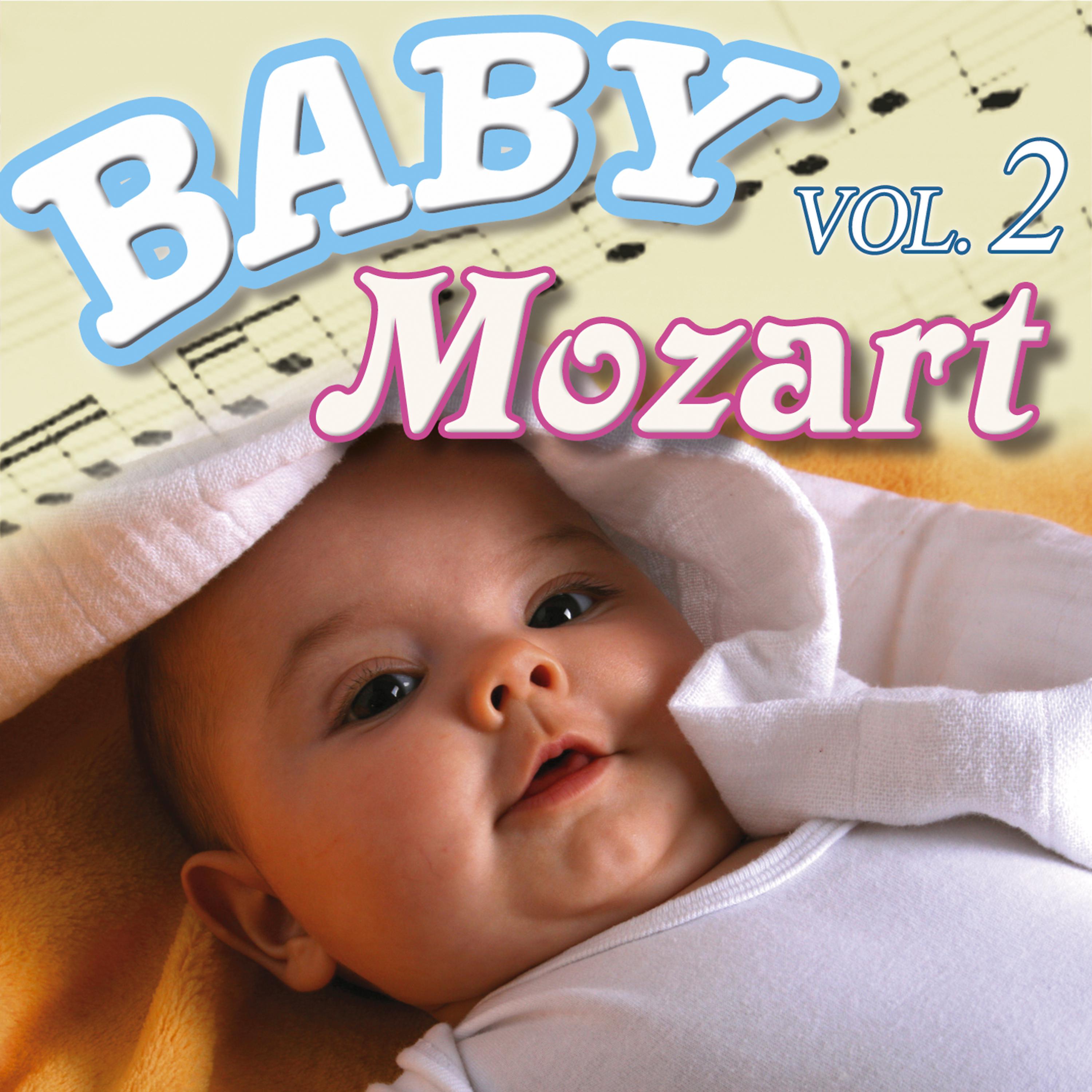 Постер альбома Baby Mozart Vol.2